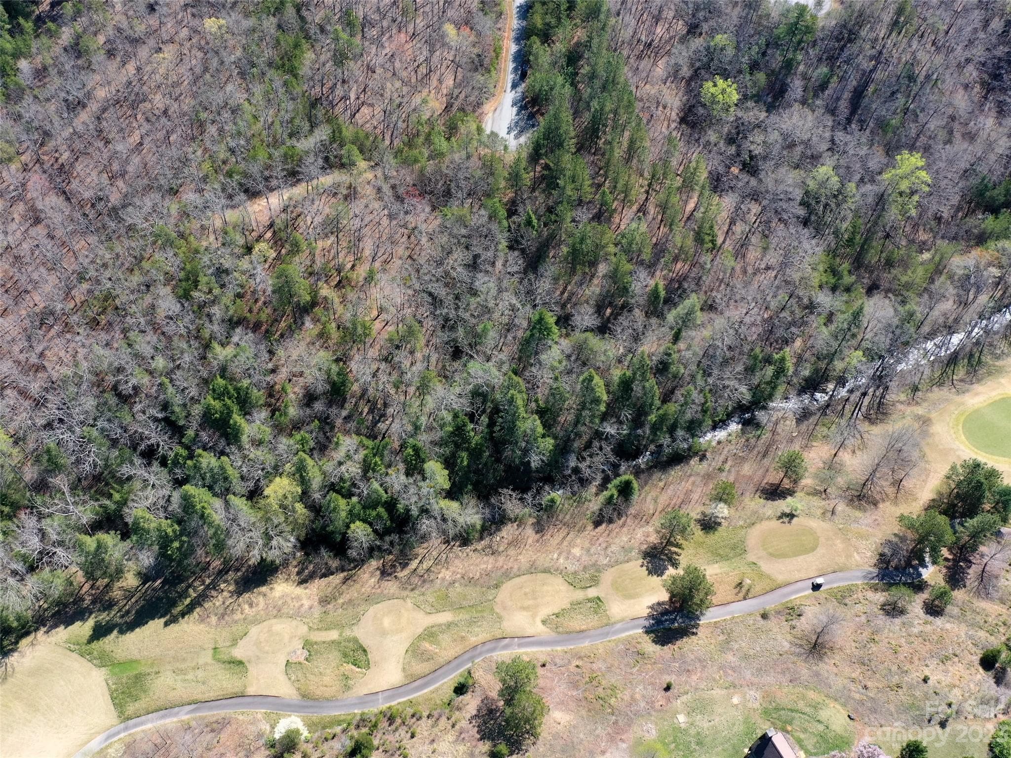 Lot at Mill Spring, photo 8 of 10