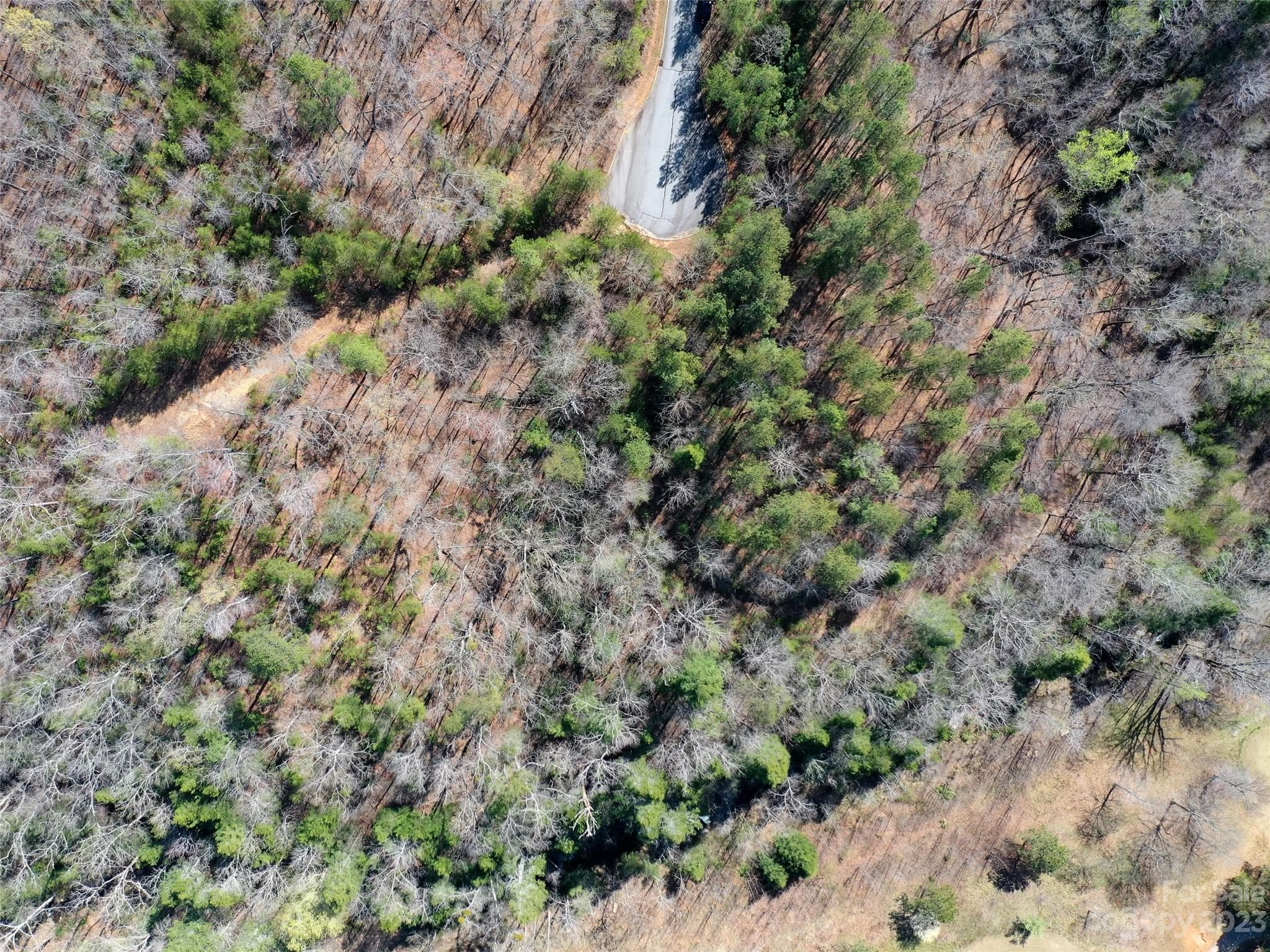 Lot at Mill Spring, photo 9 of 10