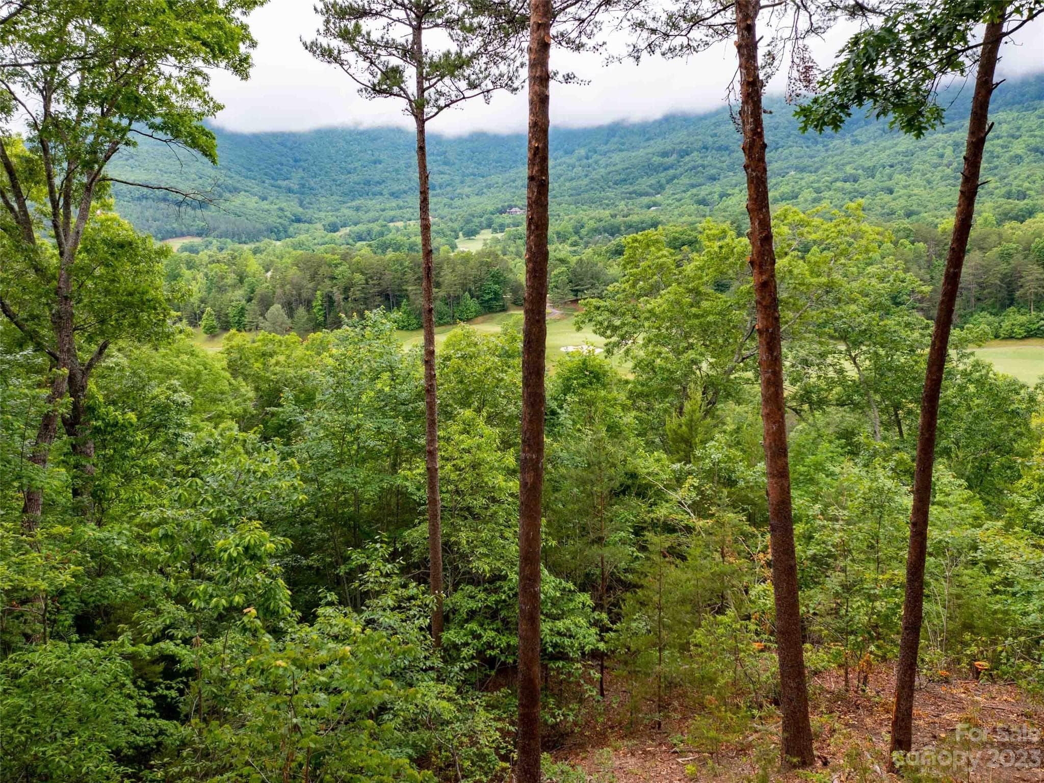 Lot at Mill Spring, photo 5 of 7