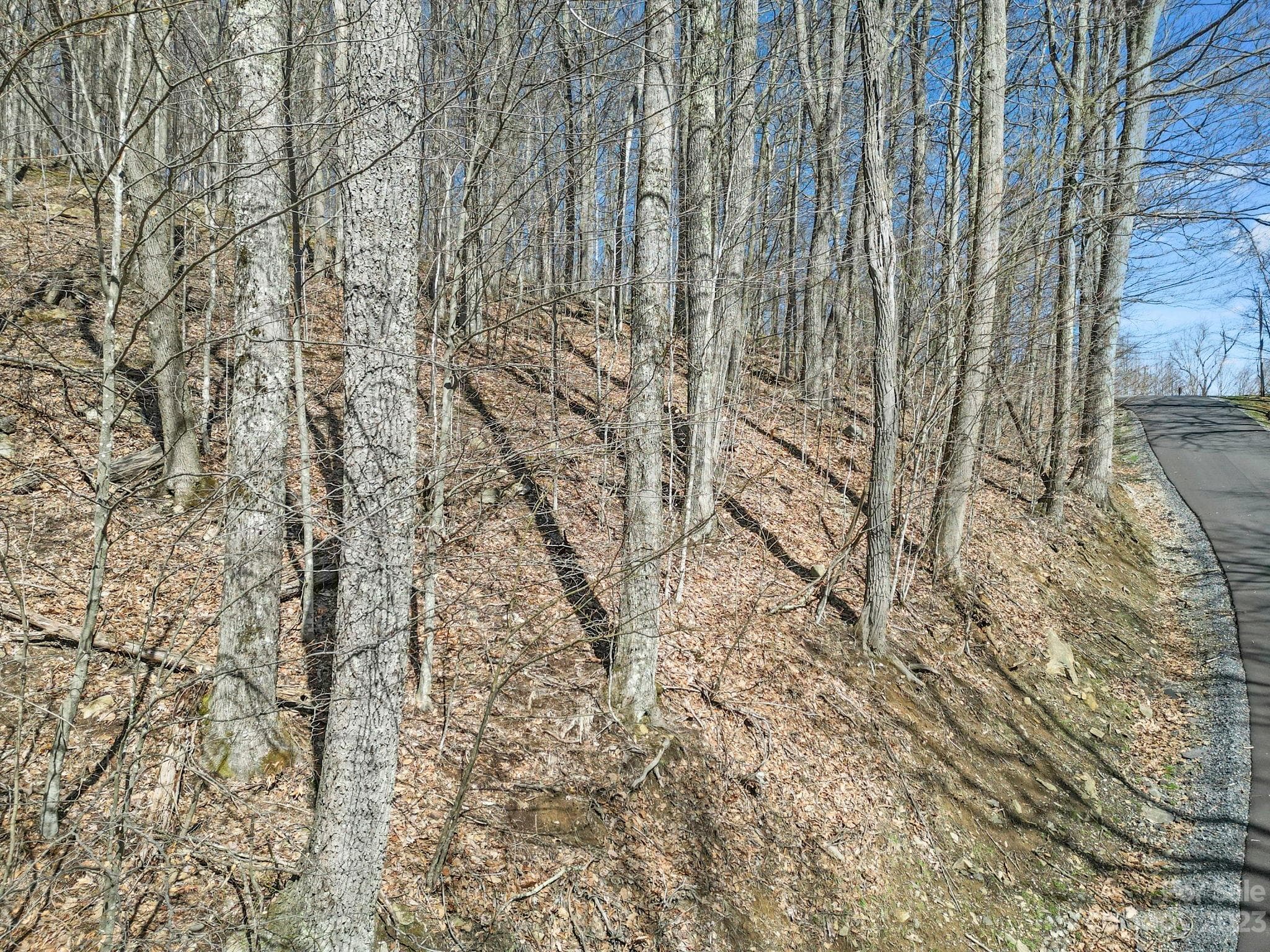 Lot at 16 Chestnut Village Lane, Mars Hill, photo 6 of 40