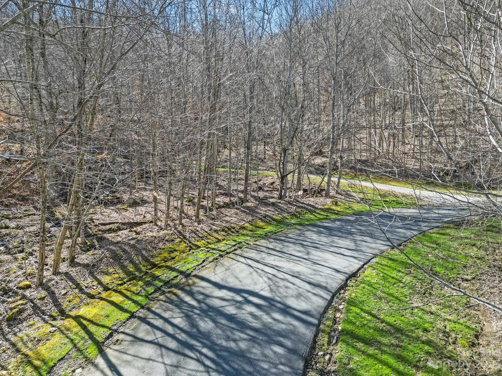 Lot at 3 Chestnut Village Lane, Mars Hill, photo 5 of 39