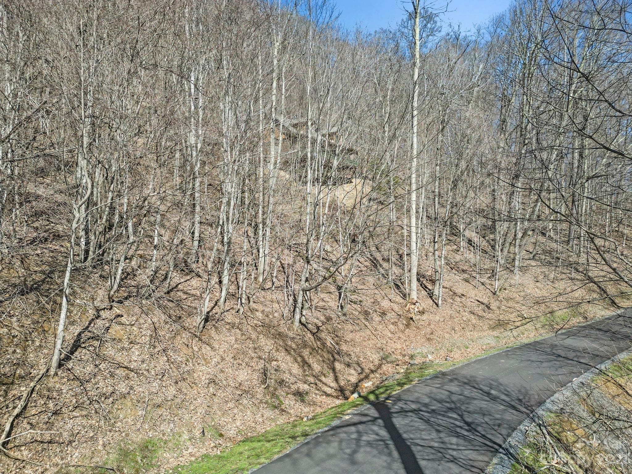 Lot at 3 Chestnut Village Lane, Mars Hill, photo 13 of 39