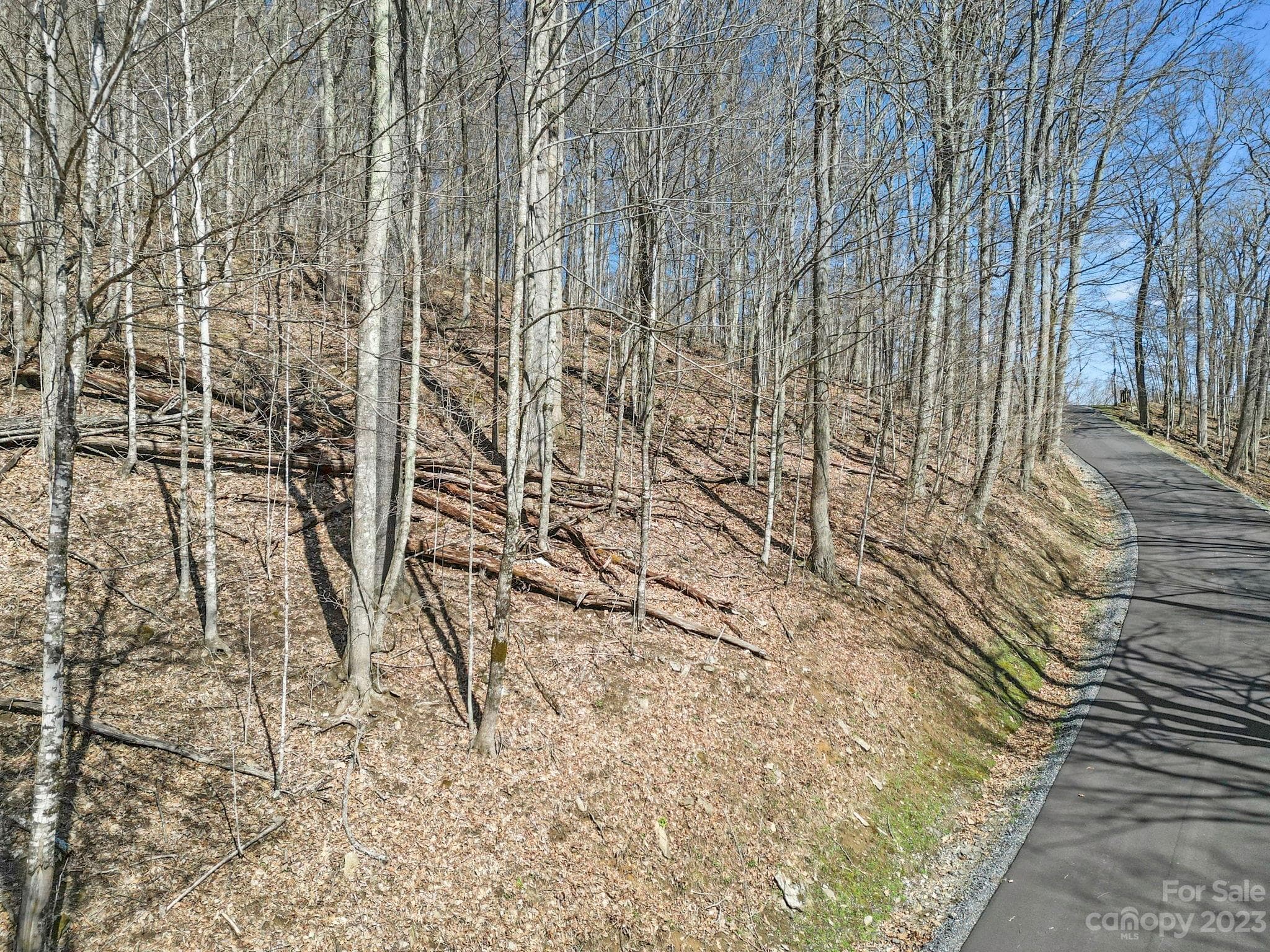 Lot at 18 Chestnut Village Lane, Mars Hill, photo 3 of 33