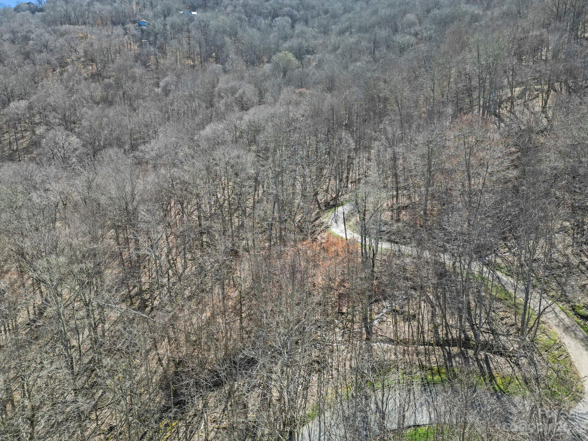 Lot at 18 Chestnut Village Lane, Mars Hill, photo 5 of 33