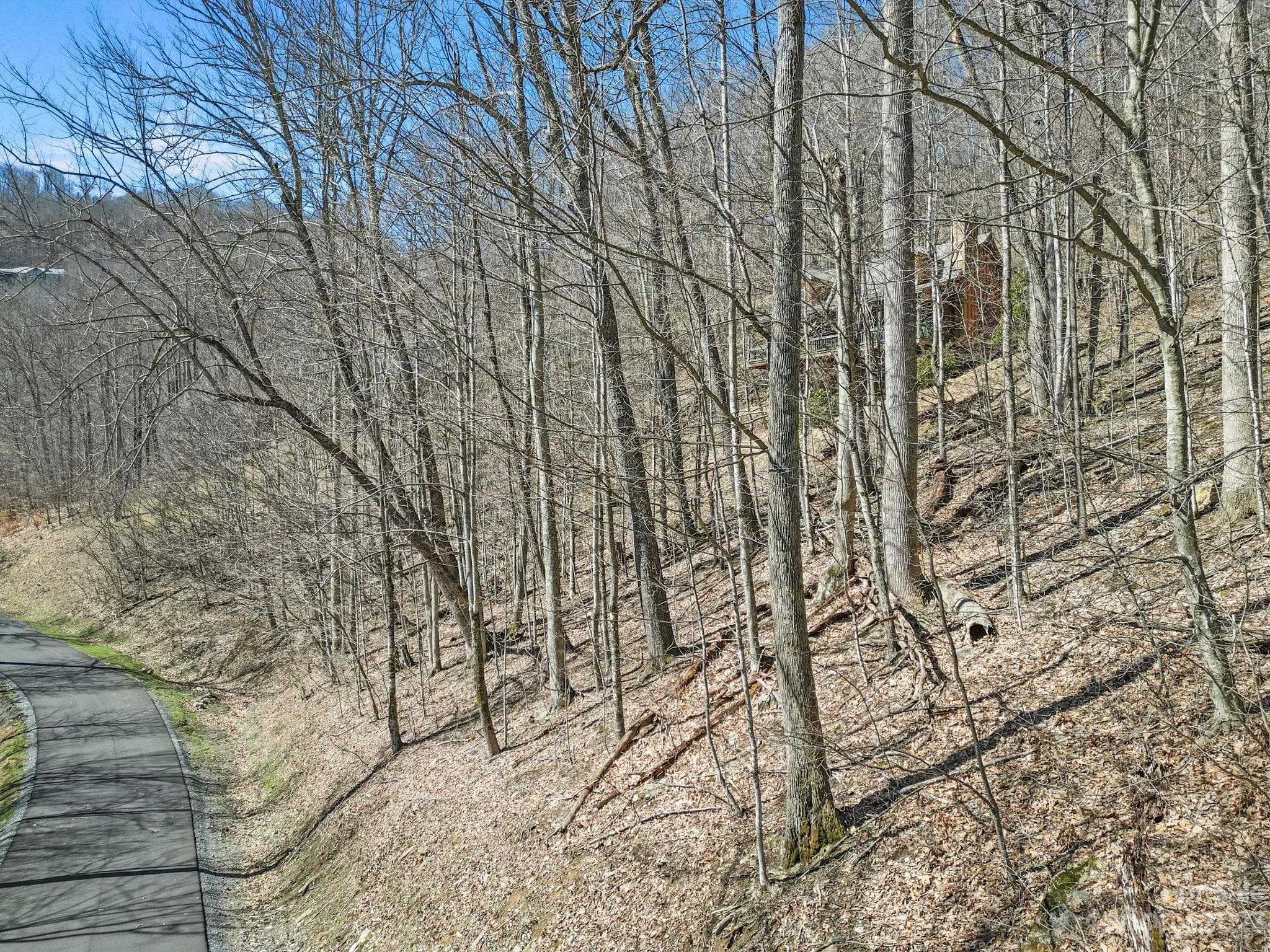 Lot at 18 Chestnut Village Lane, Mars Hill, photo 6 of 33