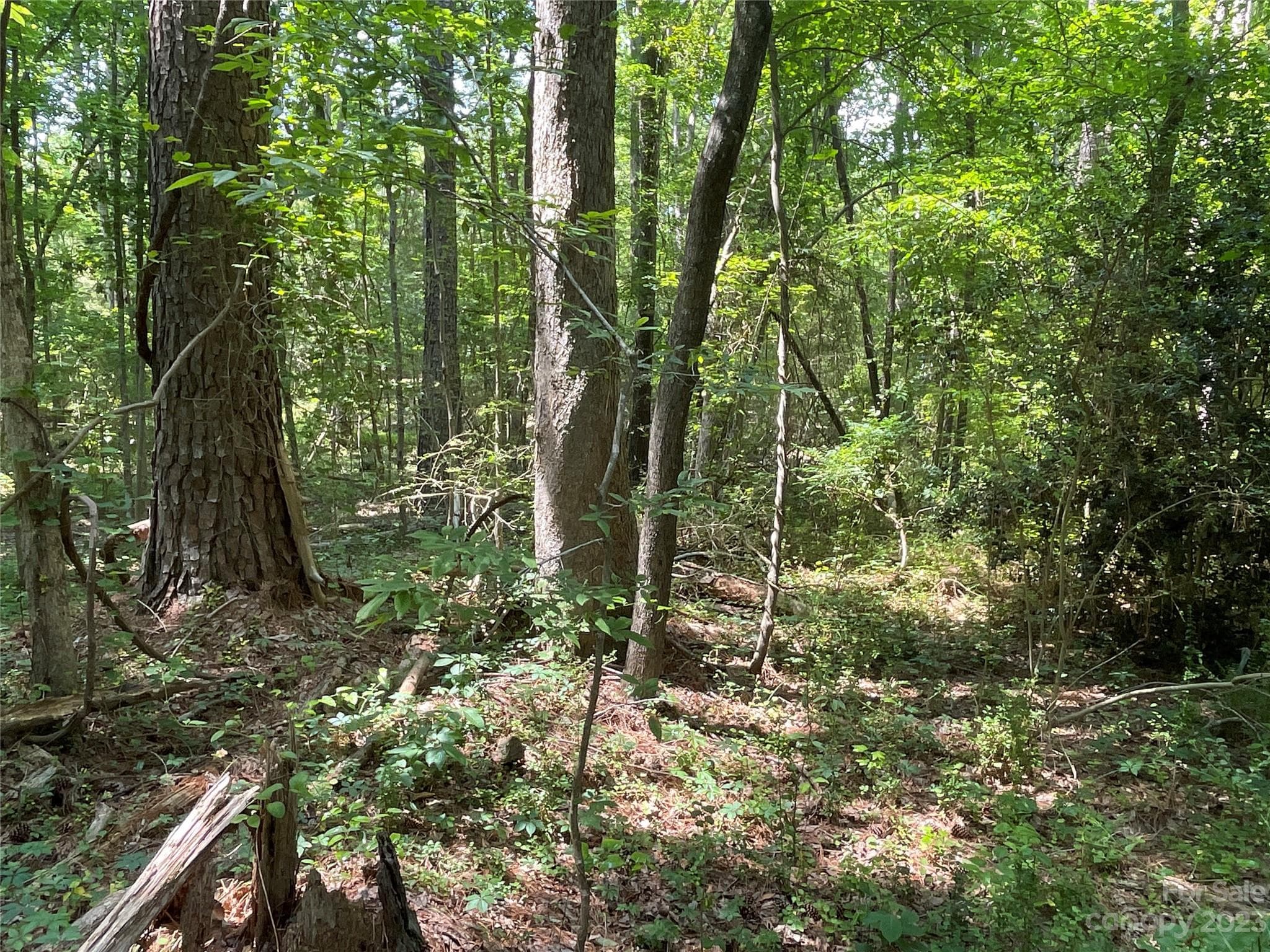 Acreage at 2790 Great Falls Highway, Lancaster, photo 6 of 36