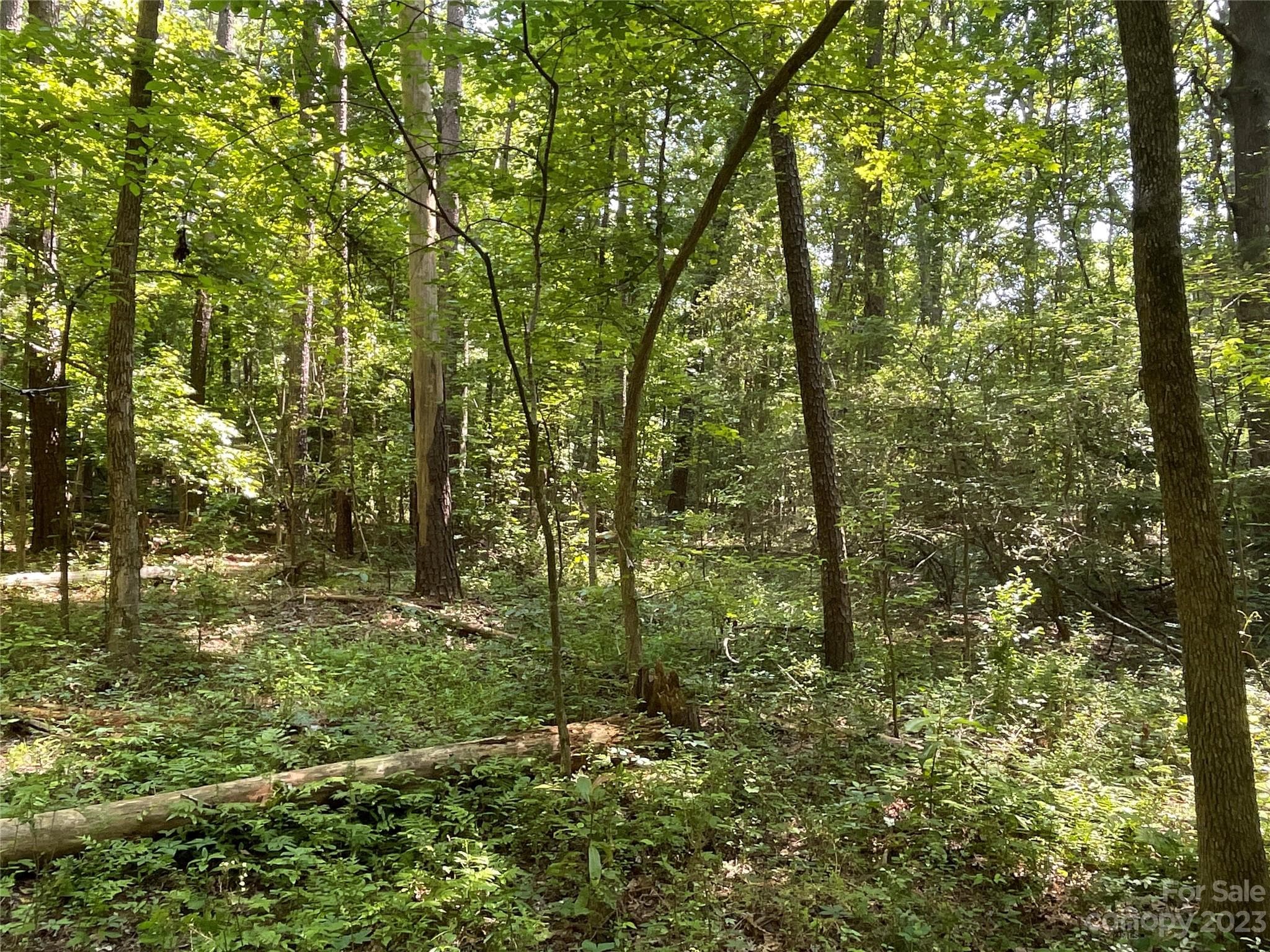 Acreage at 2790 Great Falls Highway, Lancaster, photo 7 of 36