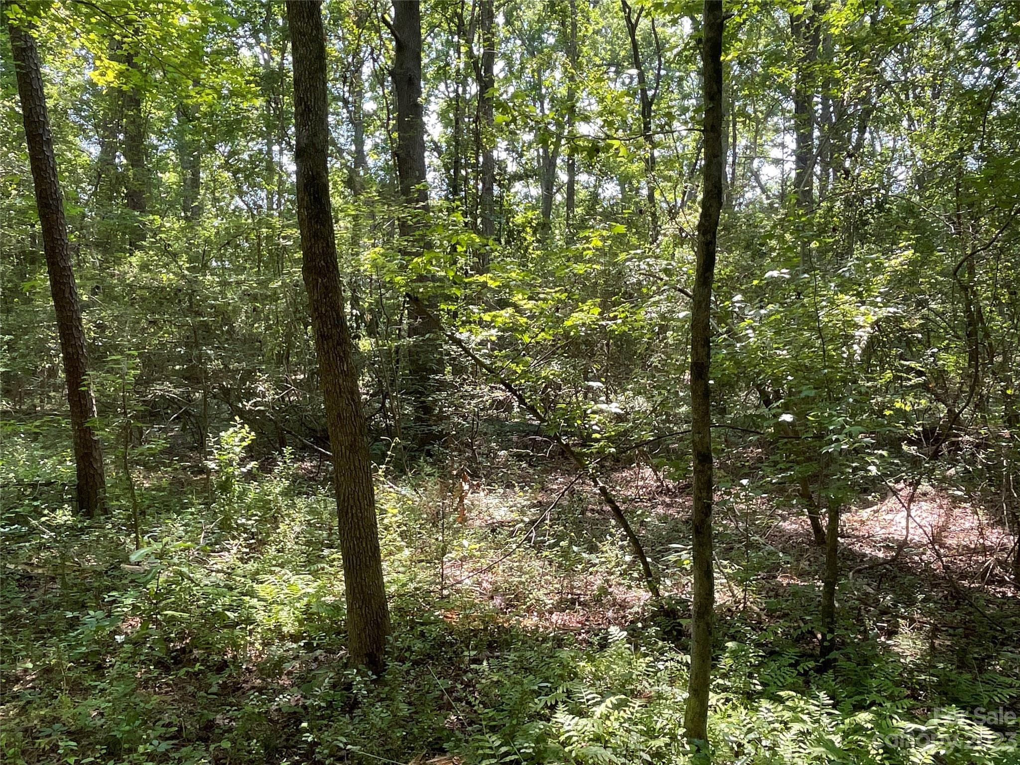 Acreage at 2790 Great Falls Highway, Lancaster, photo 8 of 36