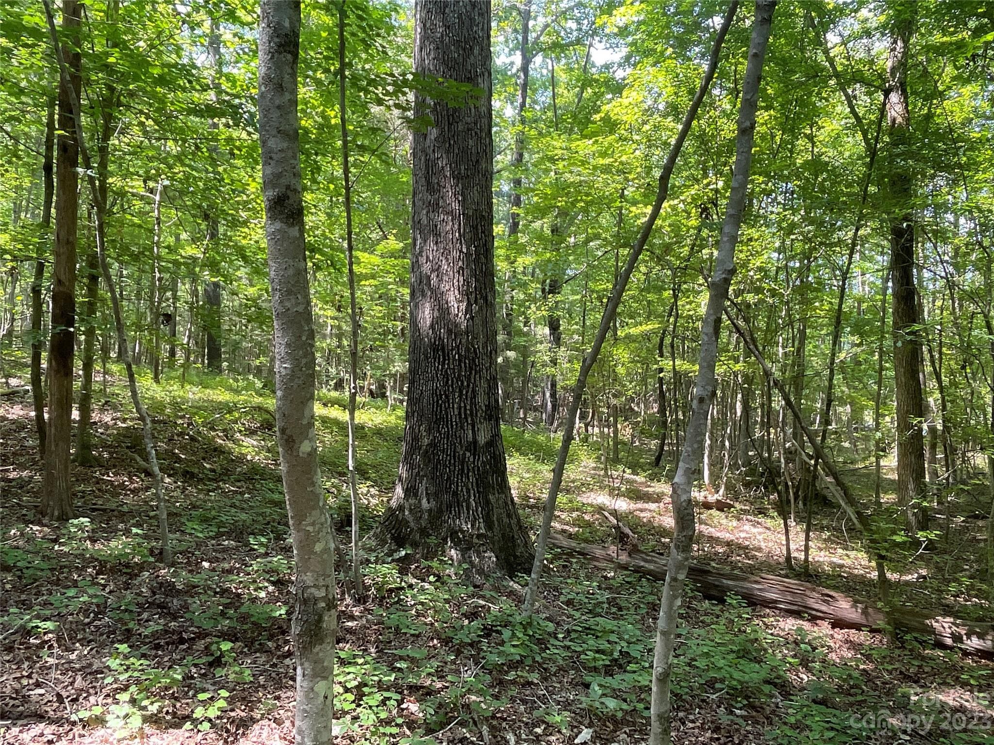 Acreage at 2790 Great Falls Highway, Lancaster, photo 9 of 36