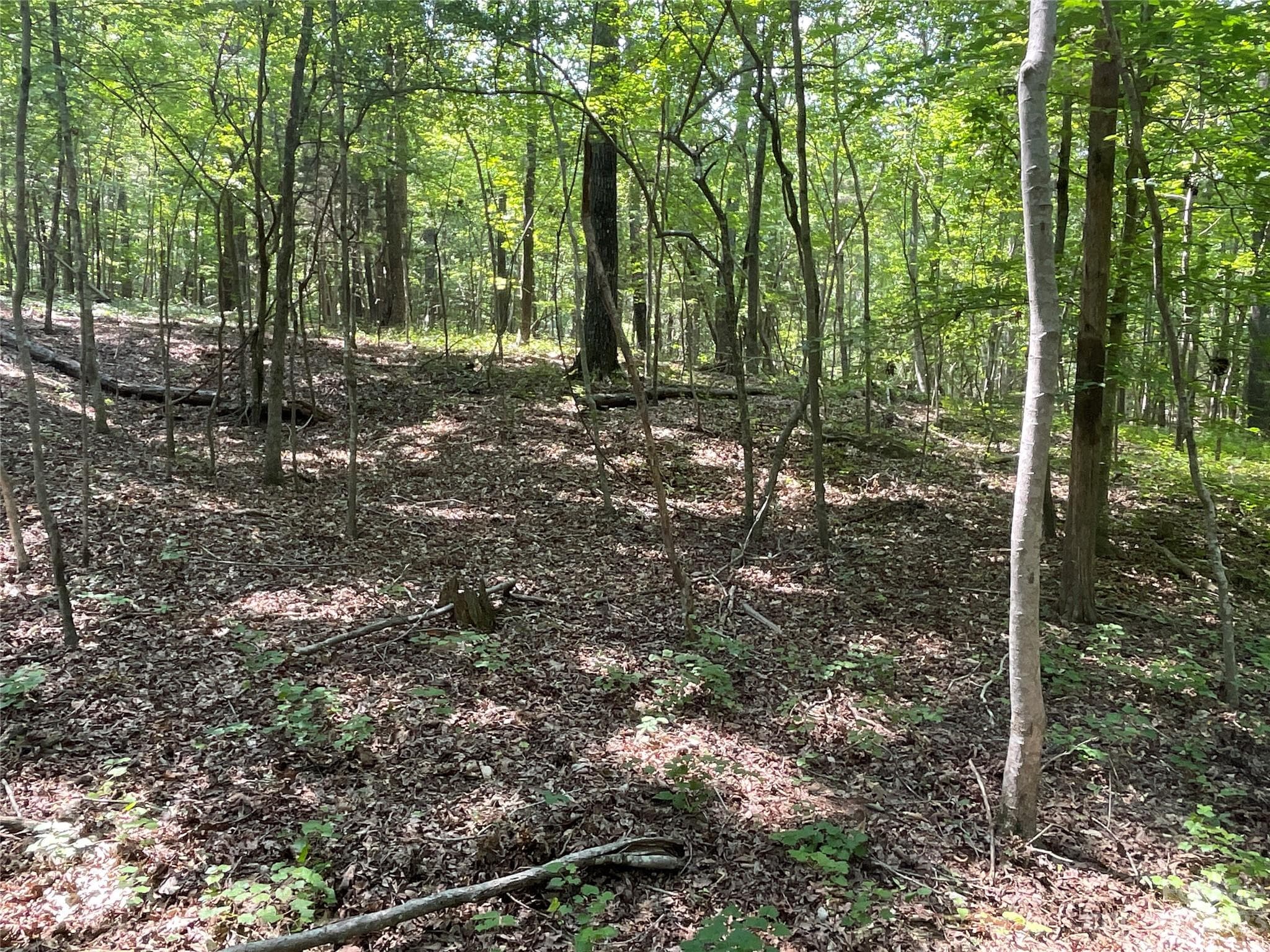 Acreage at 2790 Great Falls Highway, Lancaster, photo 10 of 36