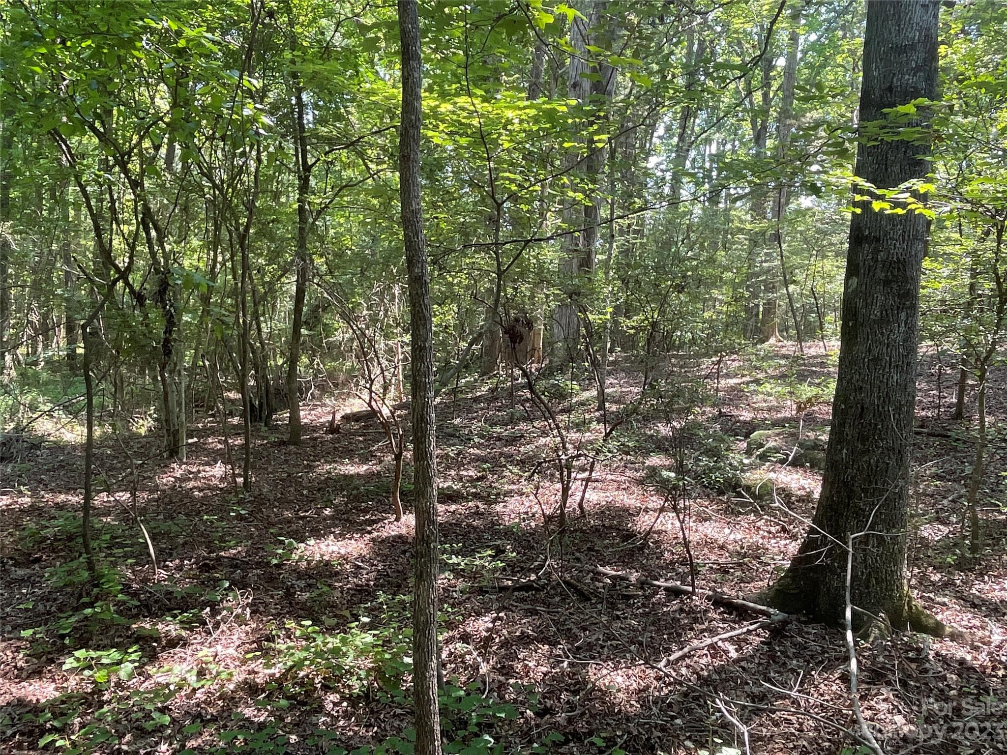Acreage at 2790 Great Falls Highway, Lancaster, photo 11 of 36