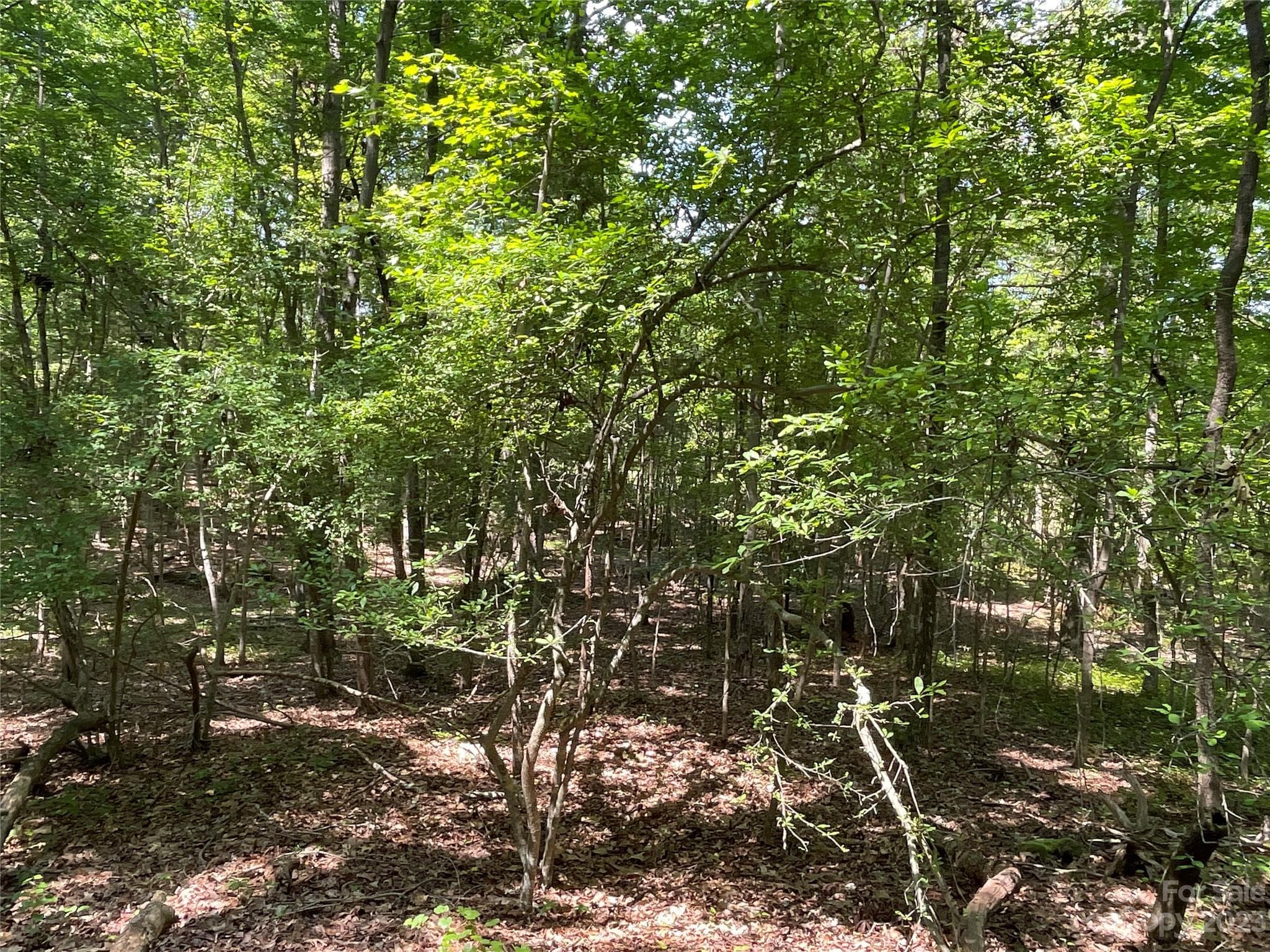 Acreage at 2790 Great Falls Highway, Lancaster, photo 12 of 36
