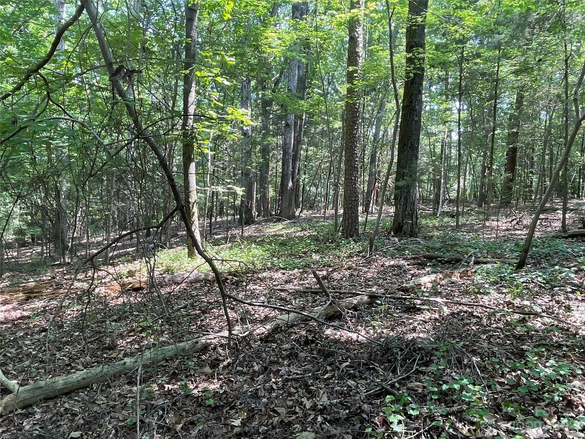 Acreage at 2790 Great Falls Highway, Lancaster, photo 13 of 36