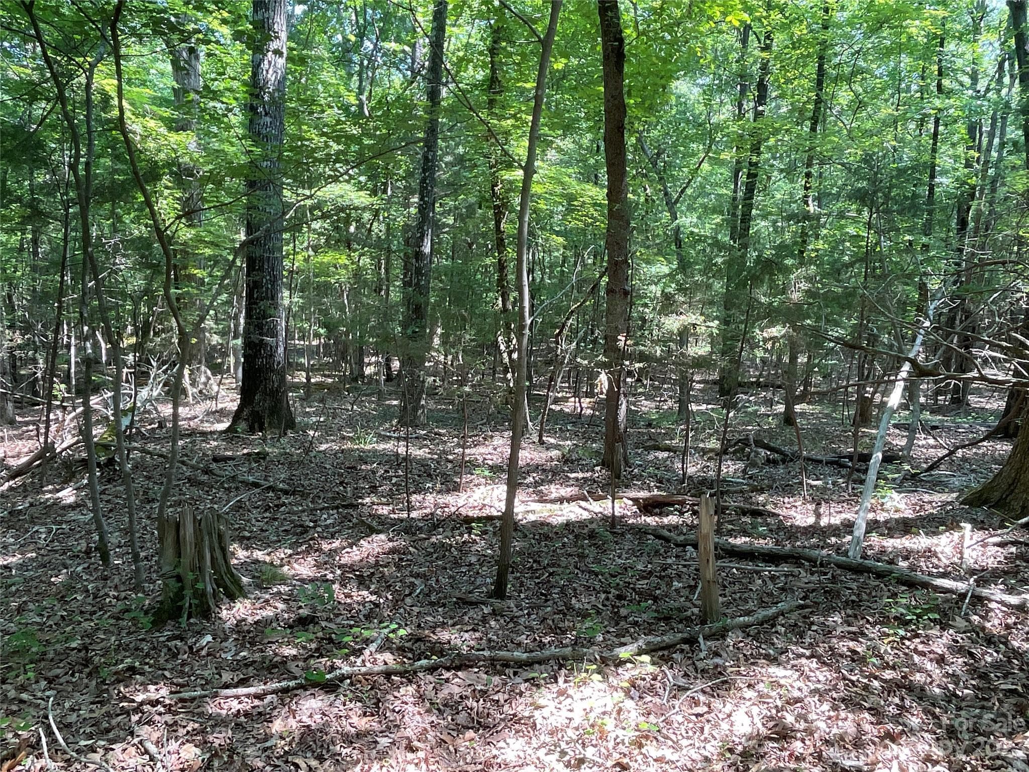 Acreage at 2790 Great Falls Highway, Lancaster, photo 14 of 36