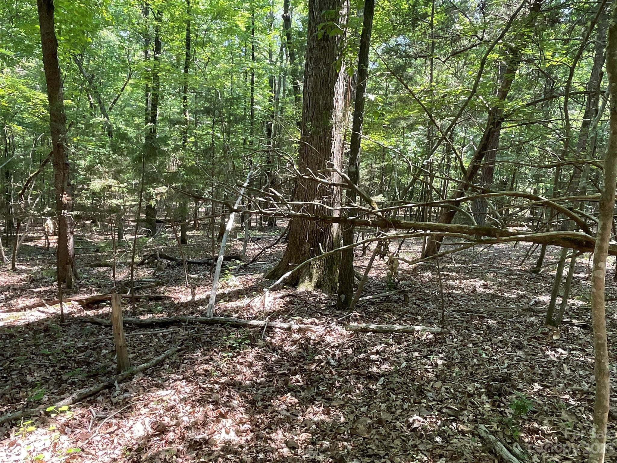 Acreage at 2790 Great Falls Highway, Lancaster, photo 15 of 36