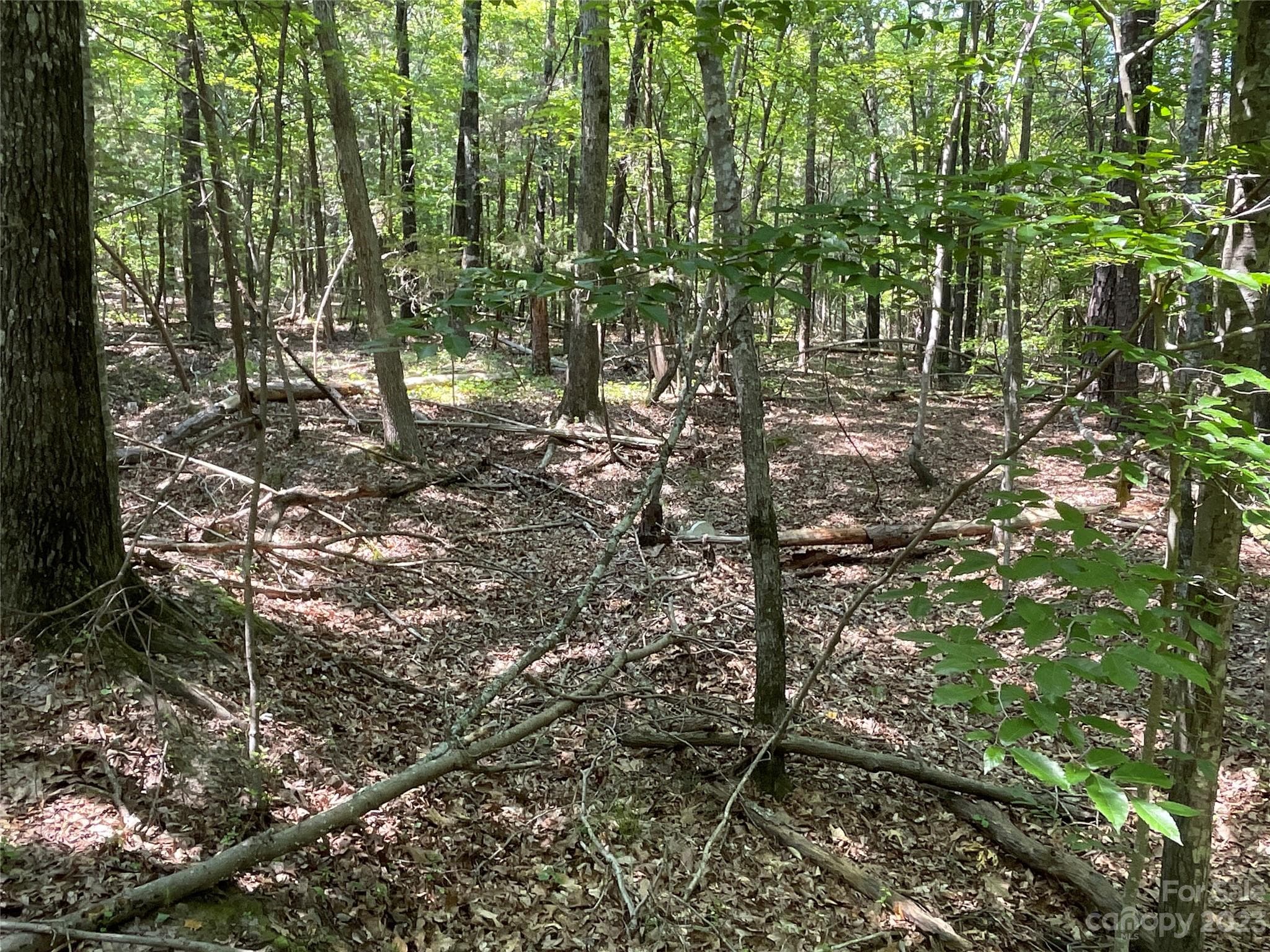 Acreage at 2790 Great Falls Highway, Lancaster, photo 16 of 36