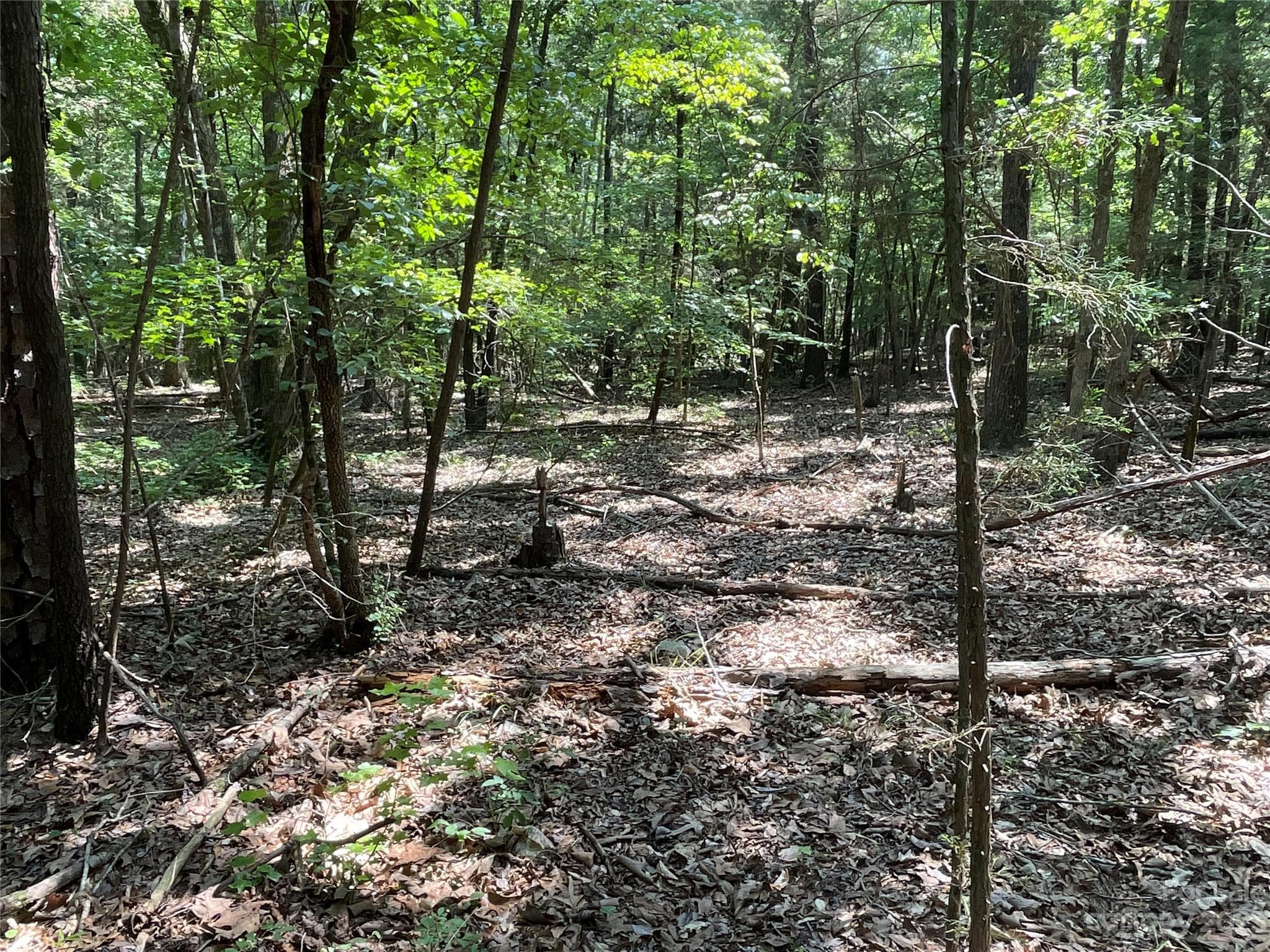 Acreage at 2790 Great Falls Highway, Lancaster, photo 17 of 36