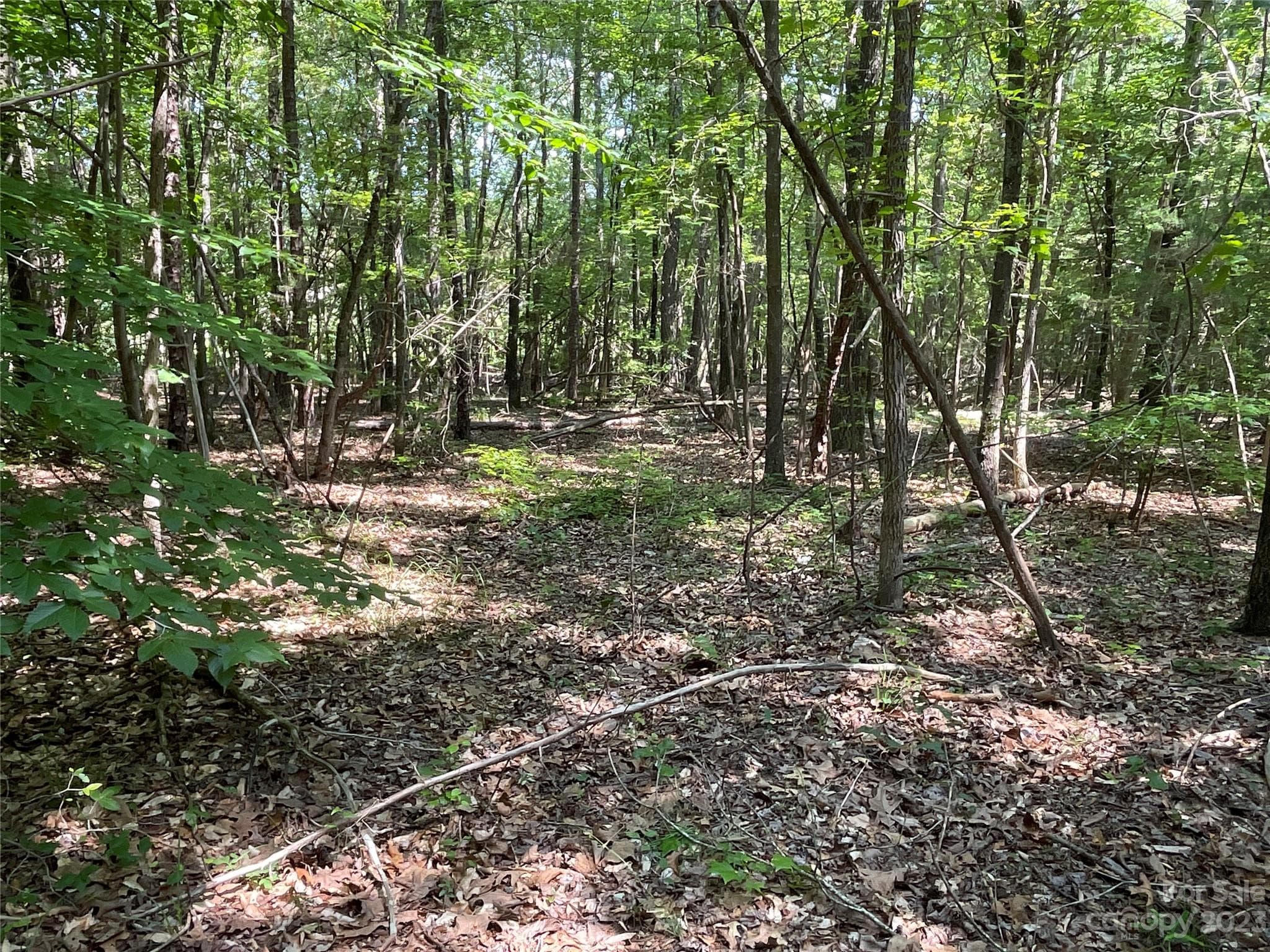 Acreage at 2790 Great Falls Highway, Lancaster, photo 18 of 36