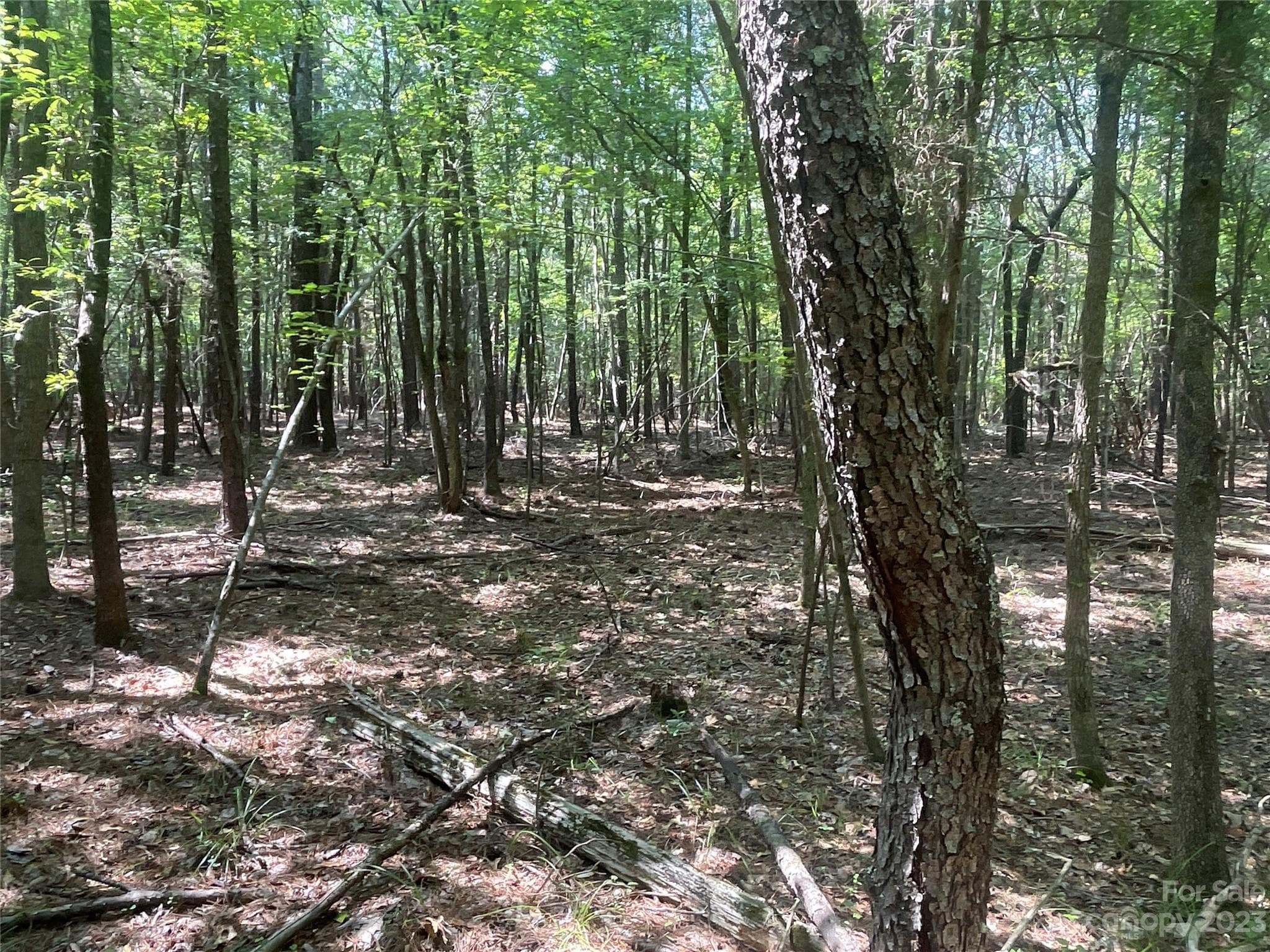 Acreage at 2790 Great Falls Highway, Lancaster, photo 19 of 36