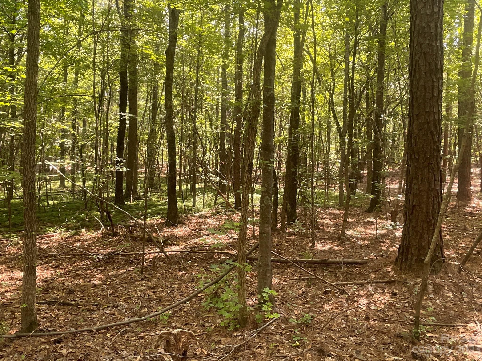Acreage at 2790 Great Falls Highway, Lancaster, photo 20 of 36