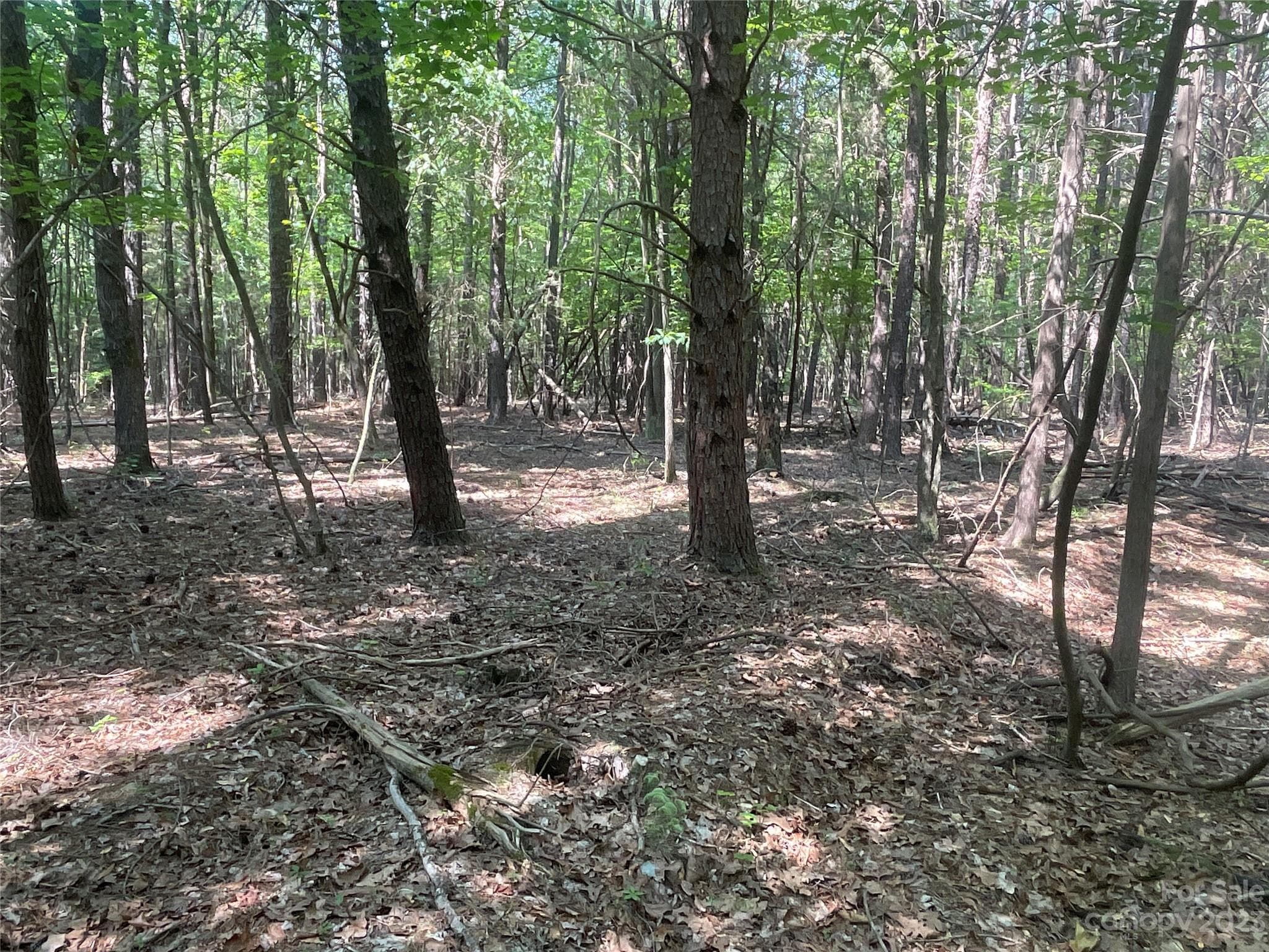 Acreage at 2790 Great Falls Highway, Lancaster, photo 21 of 36