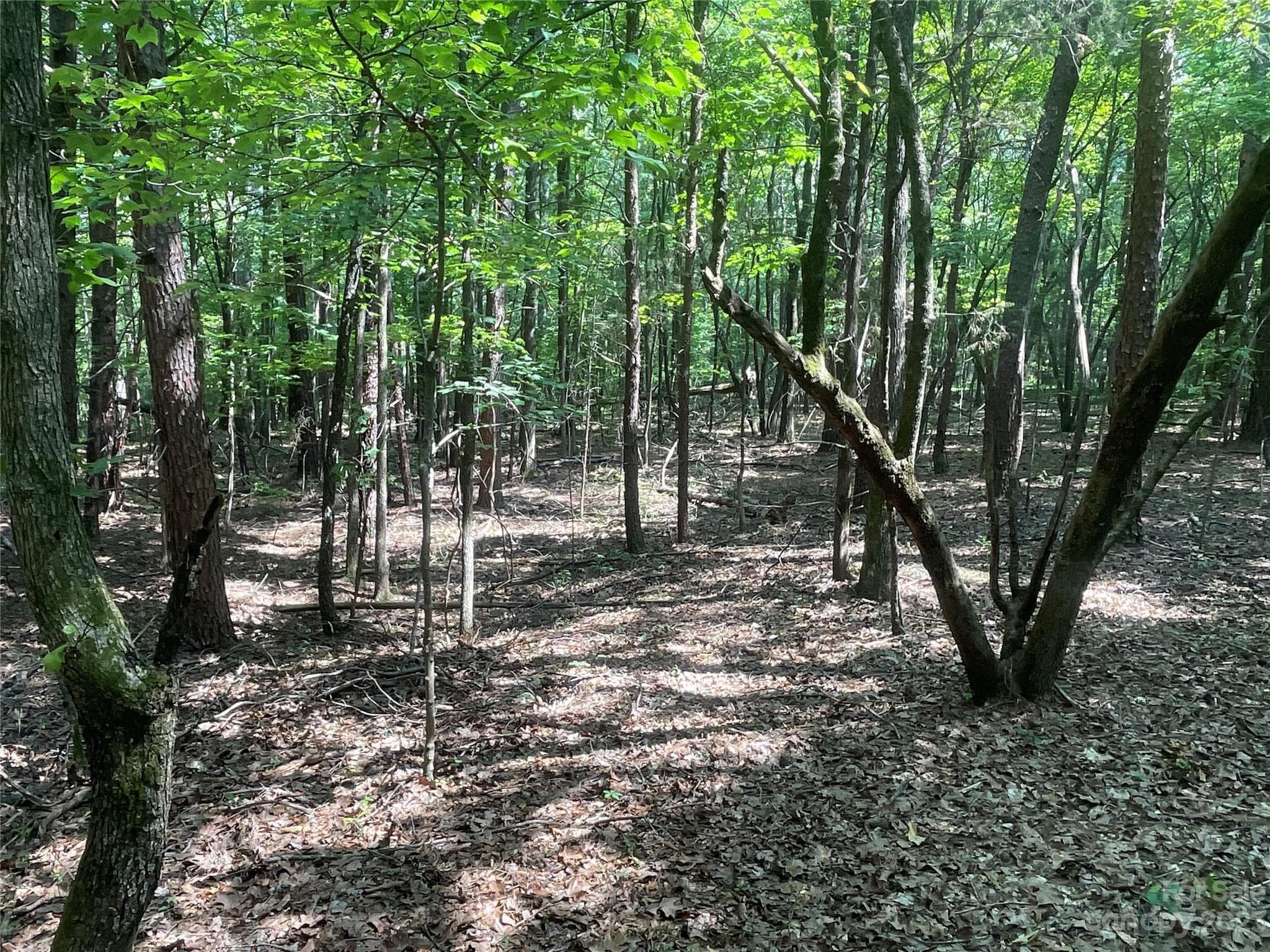 Acreage at 2790 Great Falls Highway, Lancaster, photo 22 of 36
