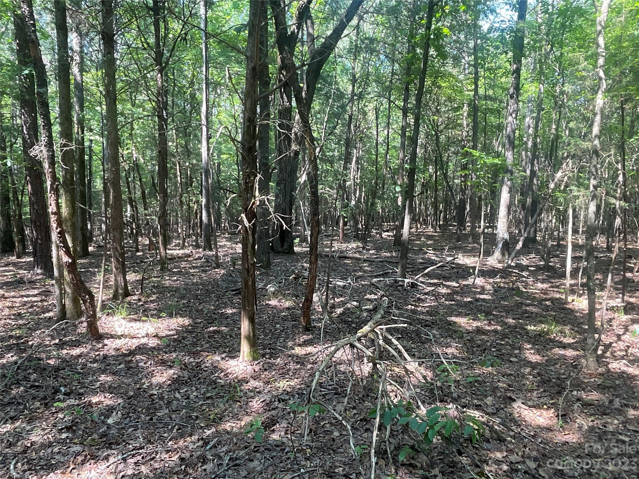 Acreage at 2790 Great Falls Highway, Lancaster, photo 23 of 36