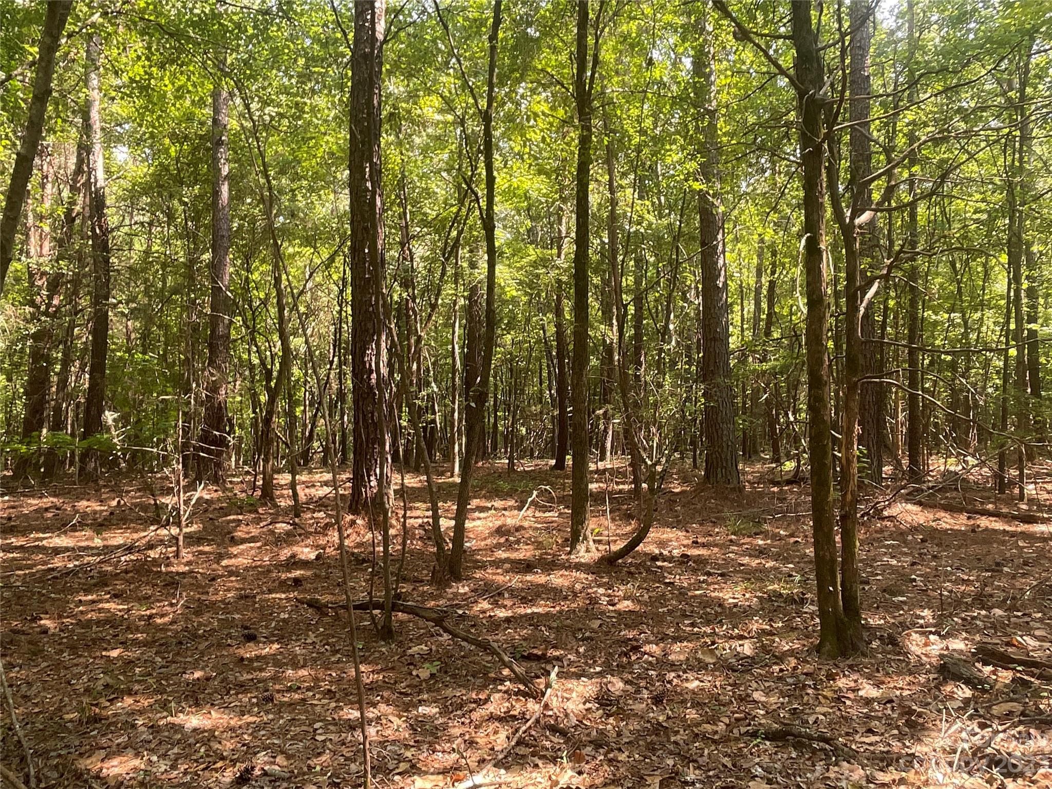 Acreage at 2790 Great Falls Highway, Lancaster, photo 24 of 36