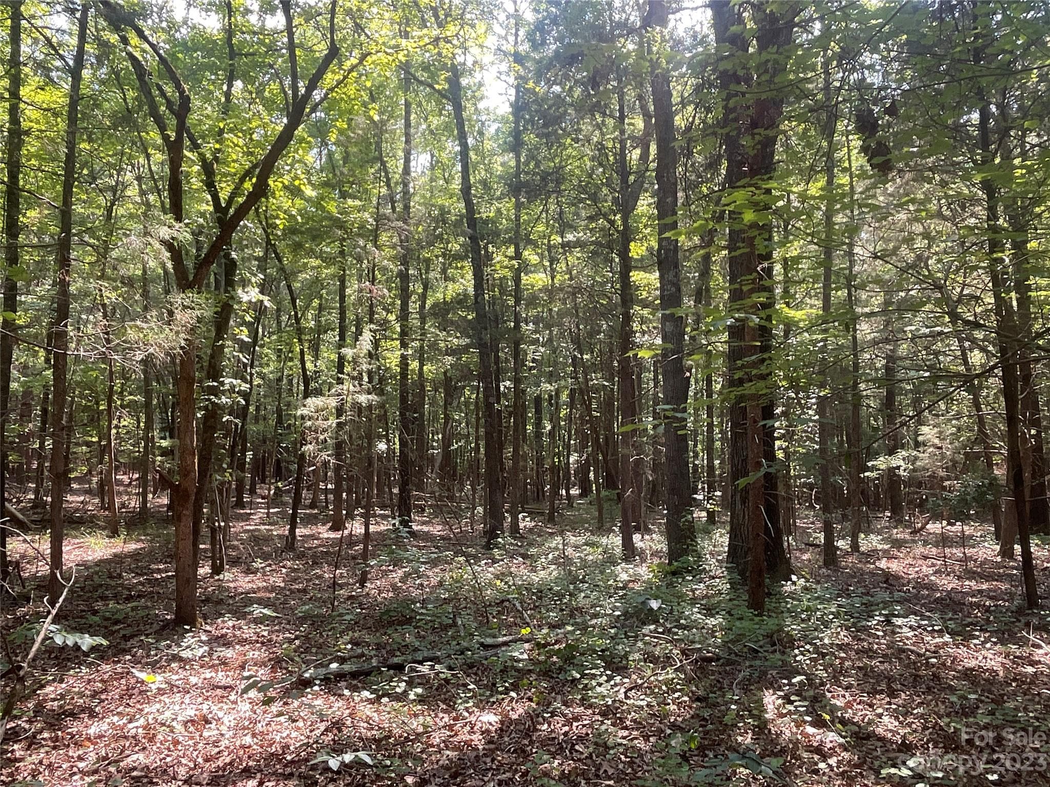 Acreage at 2790 Great Falls Highway, Lancaster, photo 25 of 36