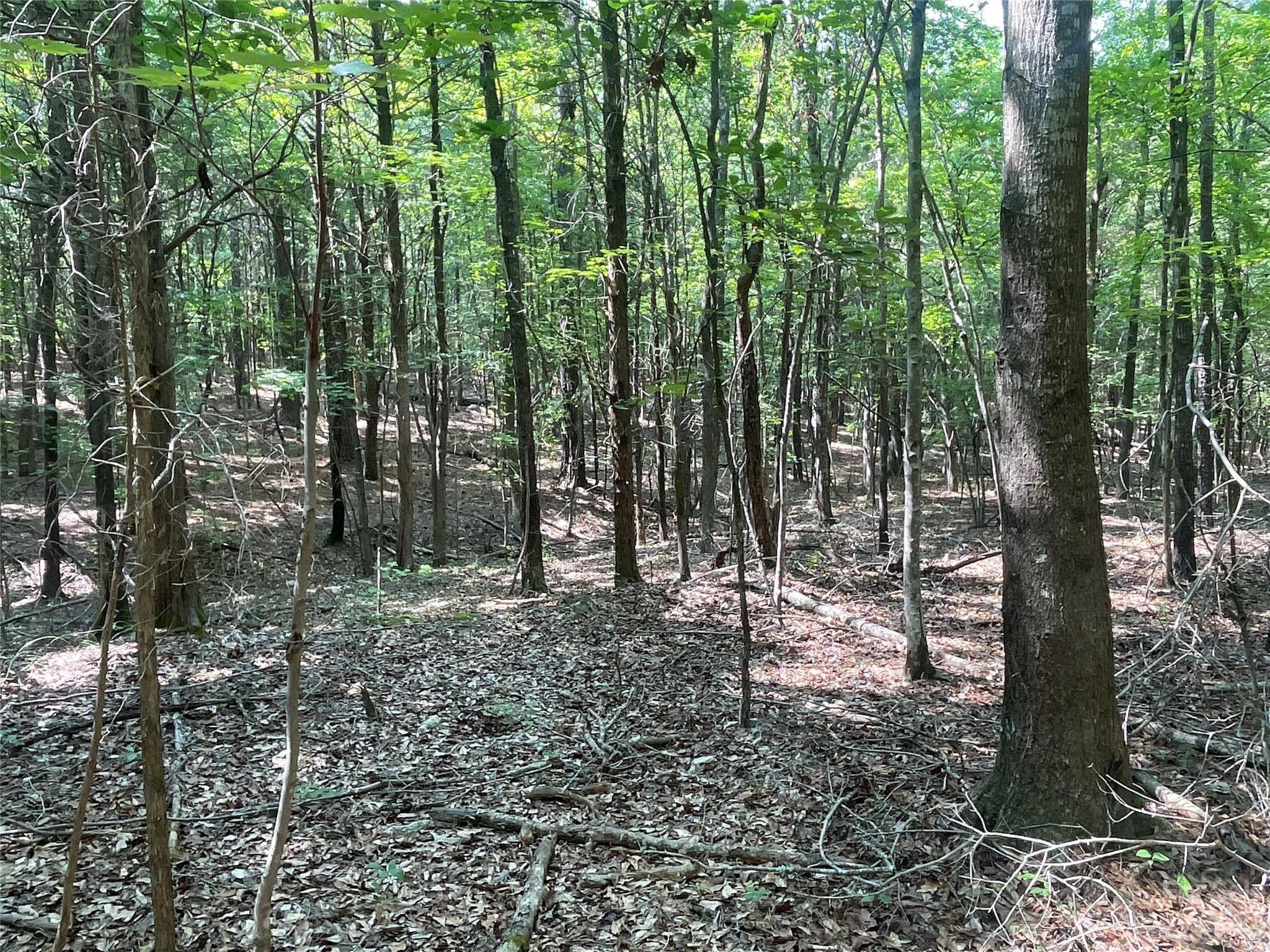 Acreage at 2790 Great Falls Highway, Lancaster, photo 26 of 36