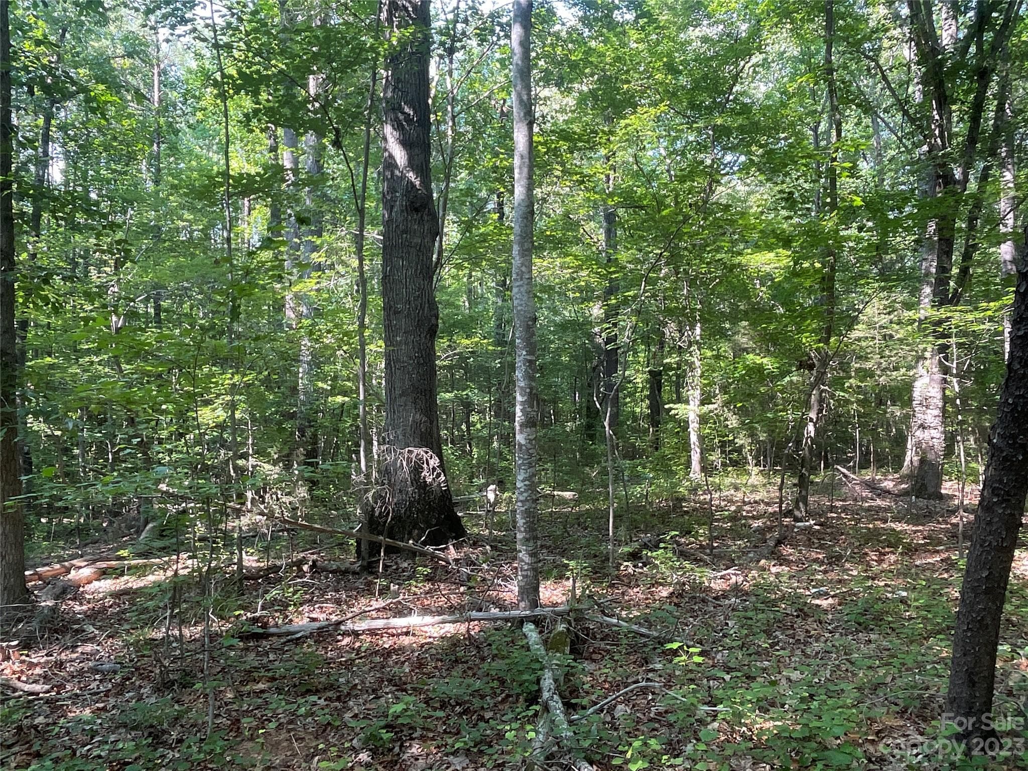 Acreage at 2790 Great Falls Highway, Lancaster, photo 27 of 36