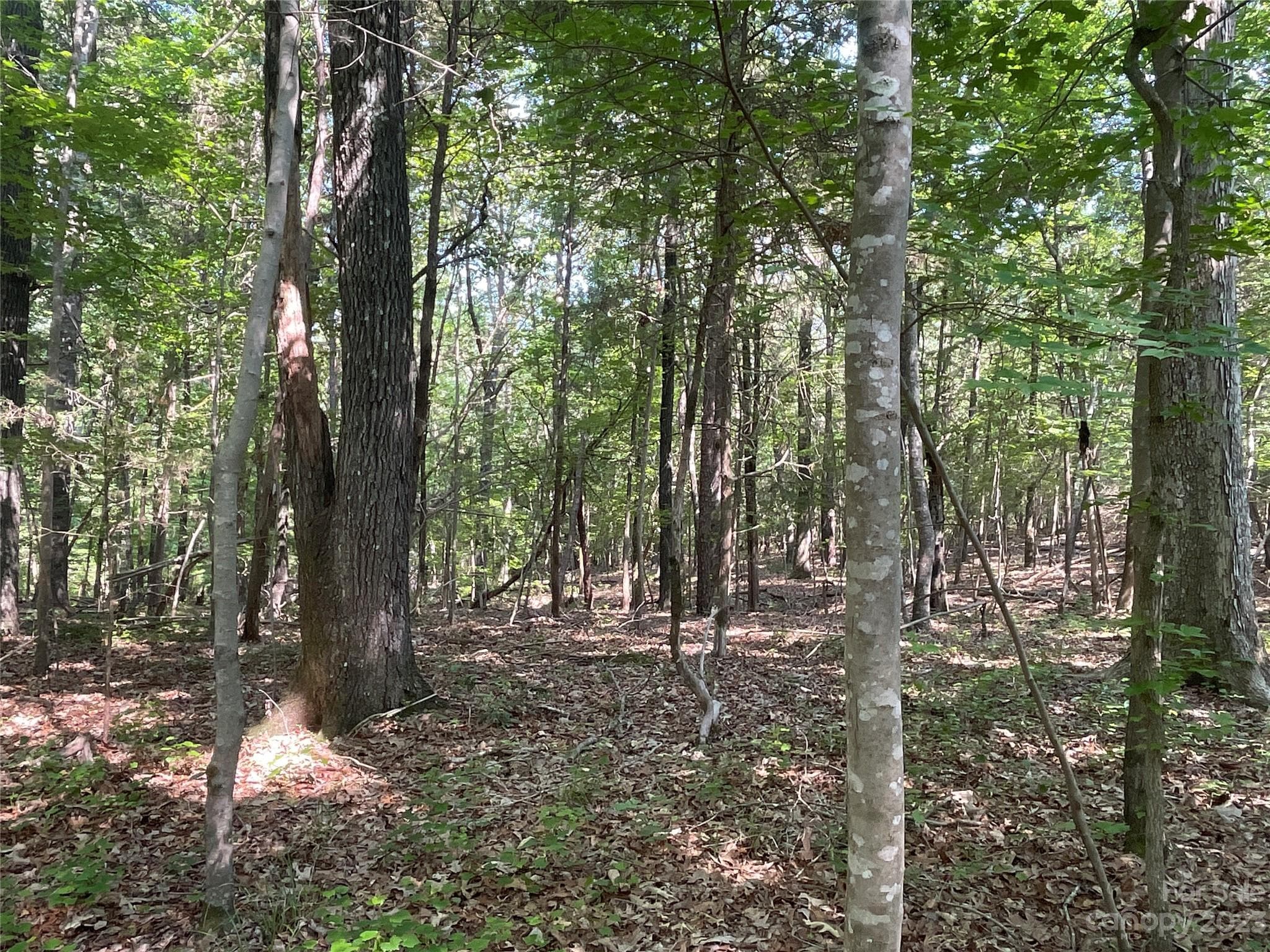 Acreage at 2790 Great Falls Highway, Lancaster, photo 28 of 36
