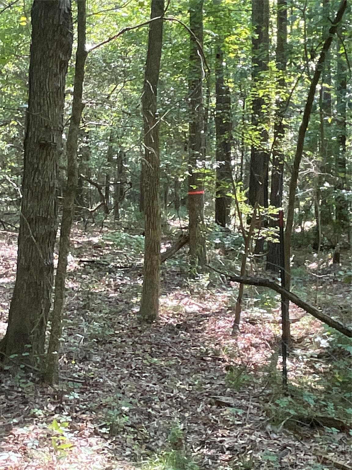 Acreage at 2790 Great Falls Highway, Lancaster, photo 30 of 36