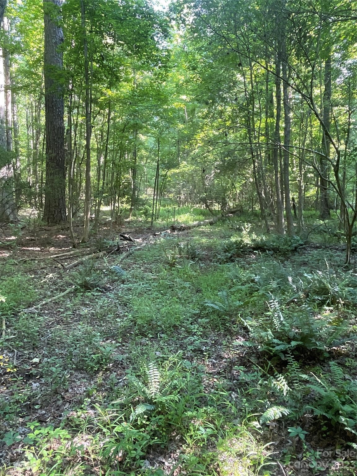 Acreage at 2790 Great Falls Highway, Lancaster, photo 33 of 36