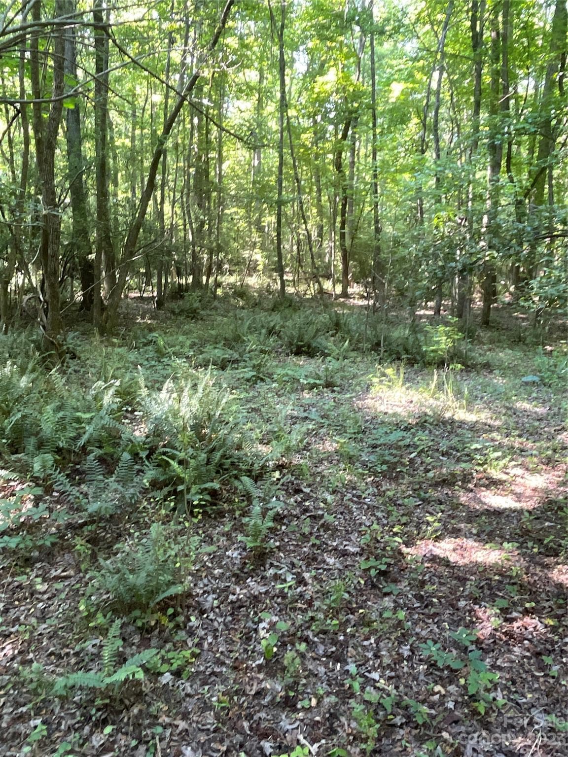 Acreage at 2790 Great Falls Highway, Lancaster, photo 34 of 36