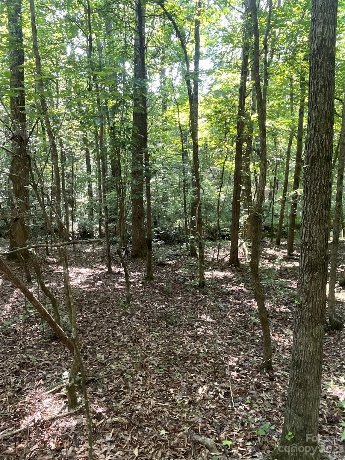 Acreage at 2790 Great Falls Highway, Lancaster, photo 35 of 36