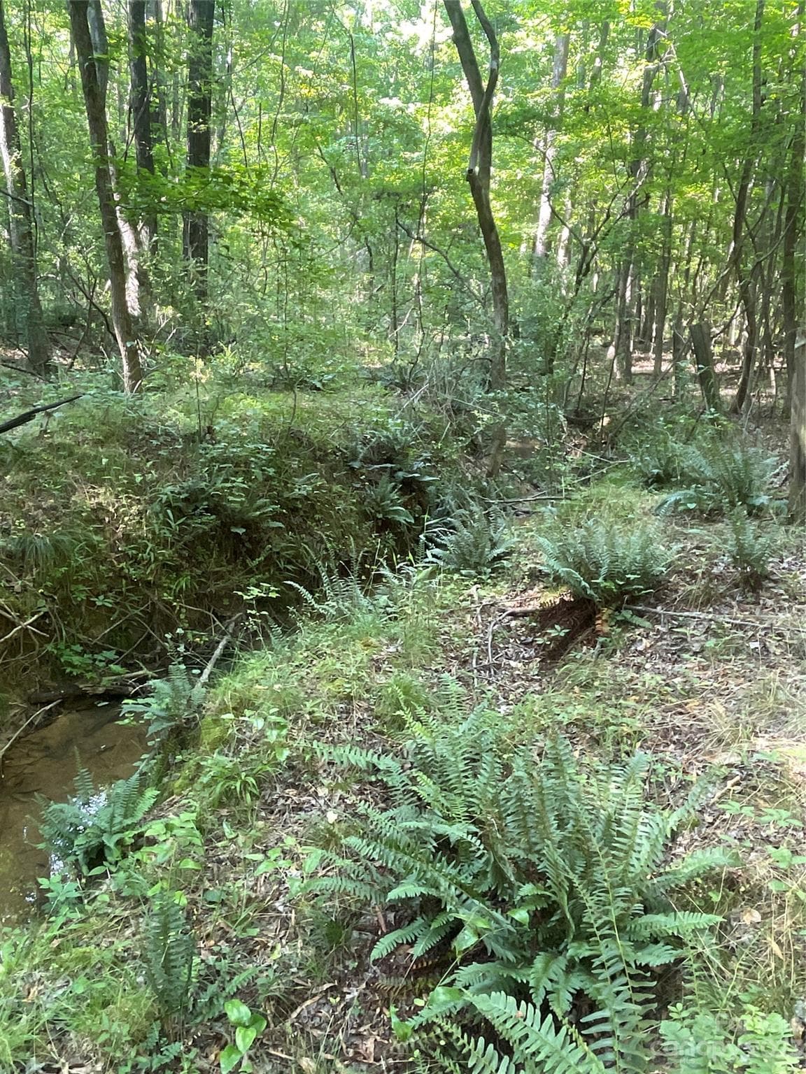Acreage at 2790 Great Falls Highway, Lancaster, photo 36 of 36