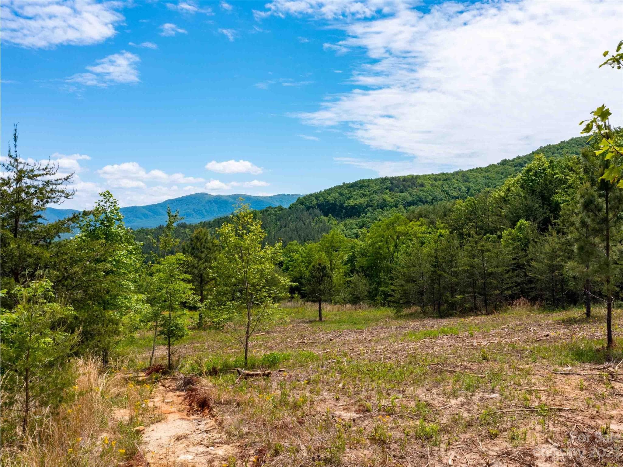 Lot at Mill Spring, photo 5 of 5