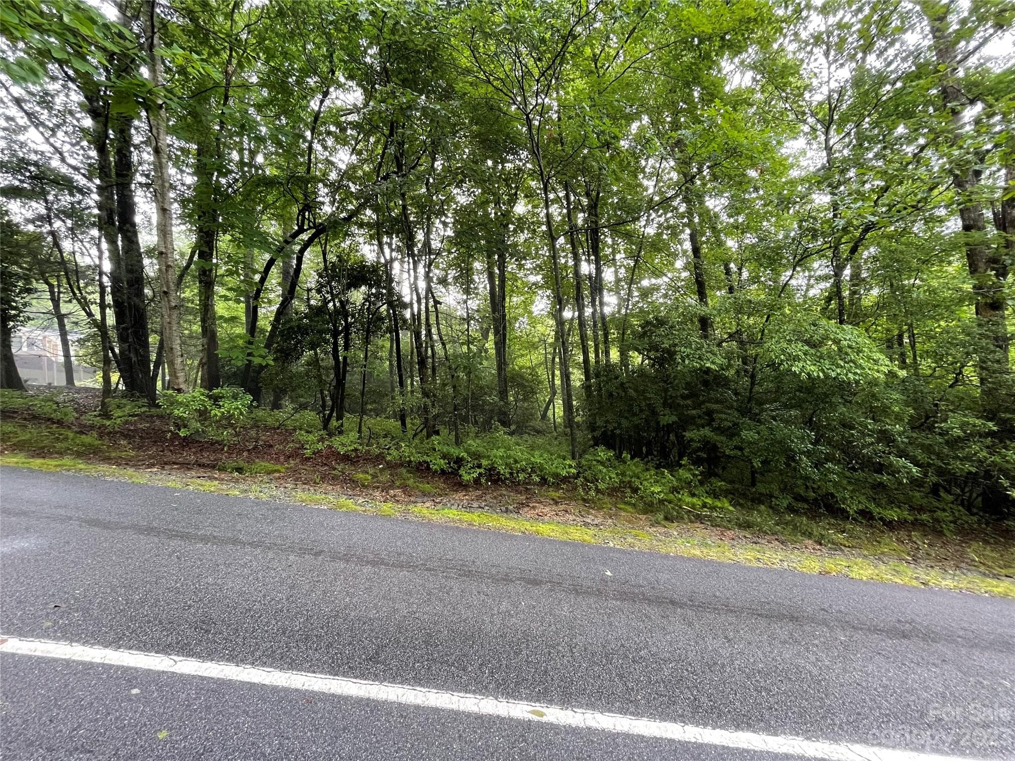 Lot at Brevard, photo 4 of 10