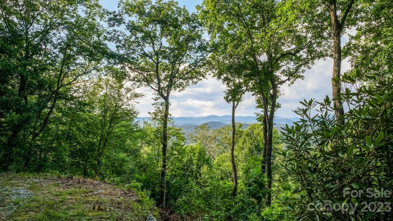 Lot at 427 Quarry Road, Lake Toxaway, photo 4 of 21