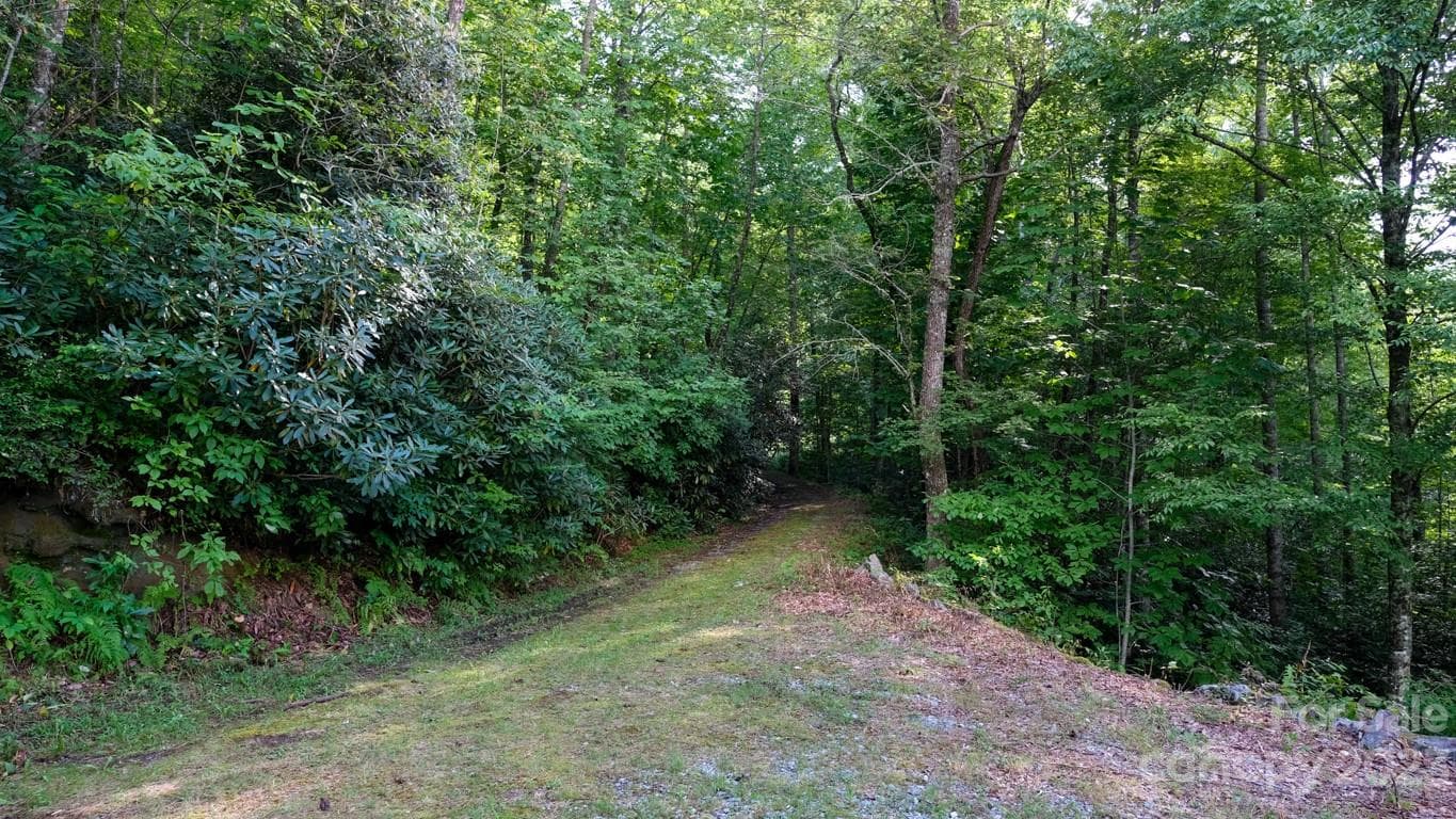 Lot at 427 Quarry Road, Lake Toxaway, photo 6 of 21