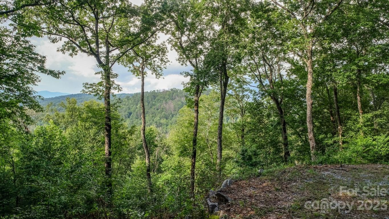 Lot at 427 Quarry Road, Lake Toxaway, photo 8 of 21