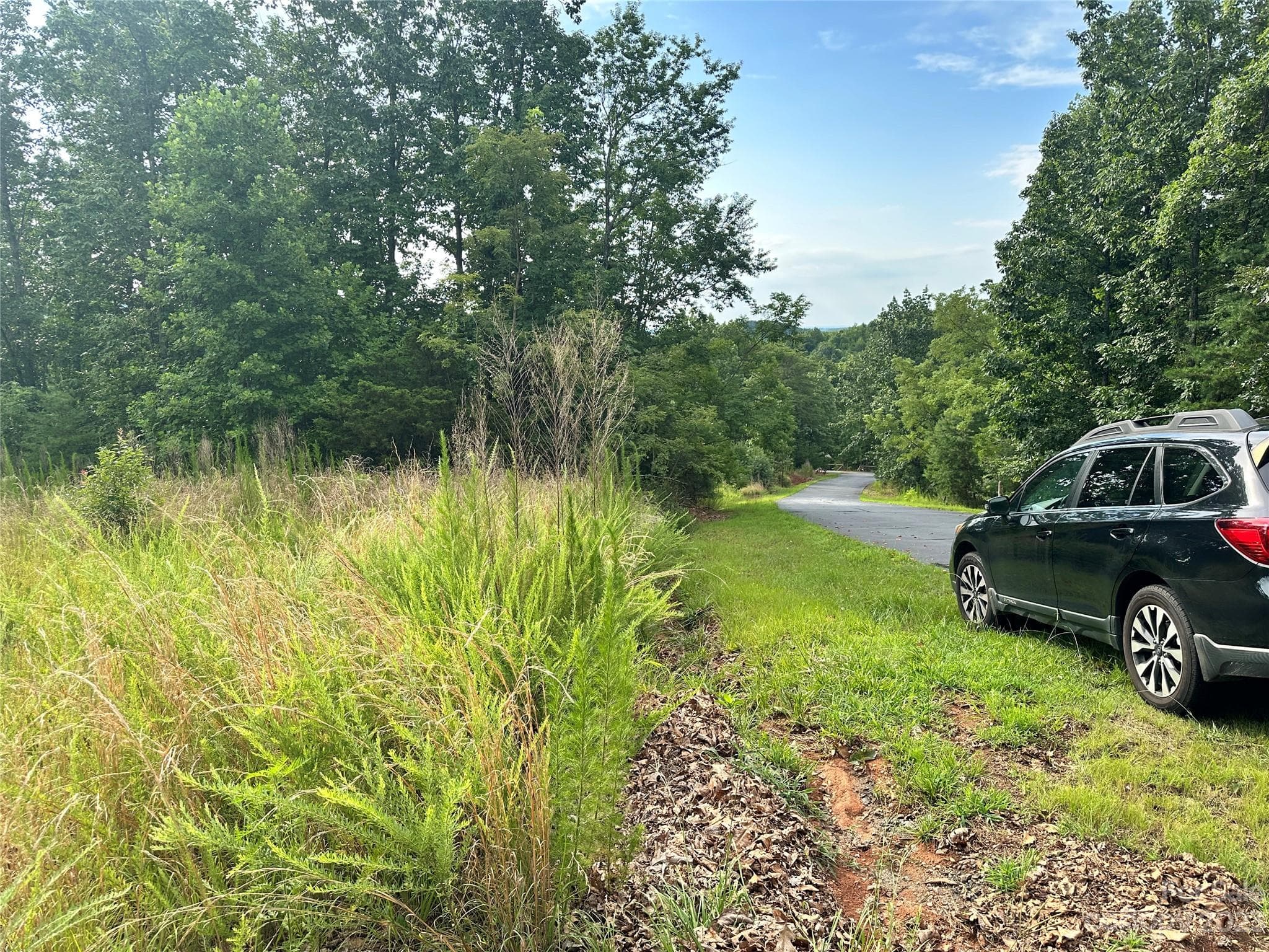 Lot at 643 Woodgate Drive, Bostic, photo 3 of 17