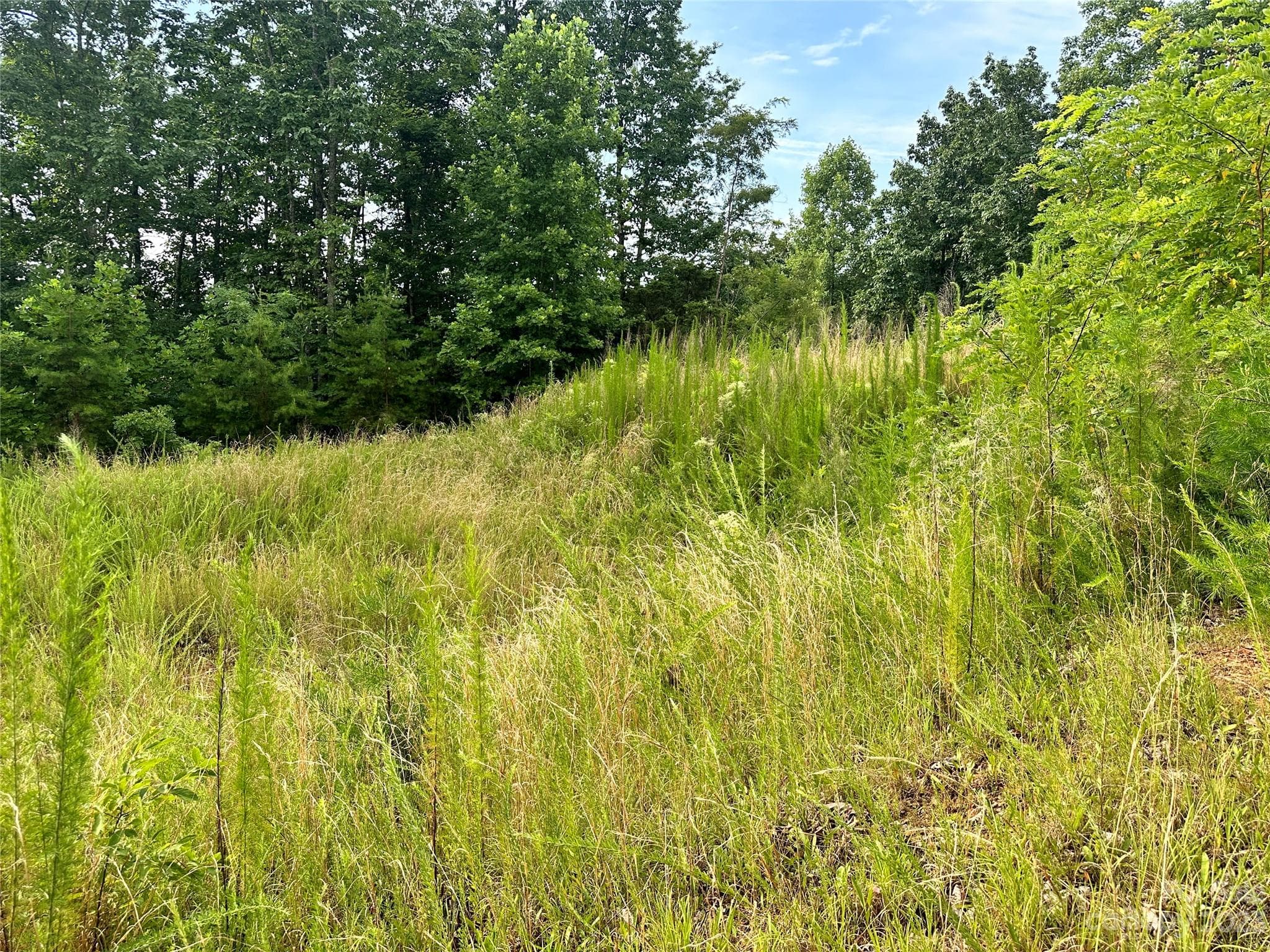Lot at 643 Woodgate Drive, Bostic, photo 4 of 17