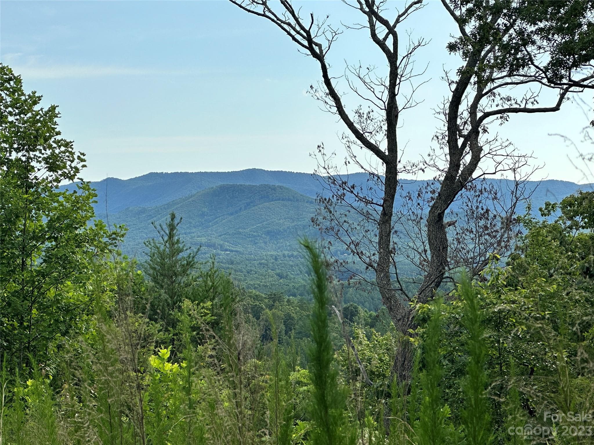 Lot at 643 Woodgate Drive, Bostic, photo 8 of 17