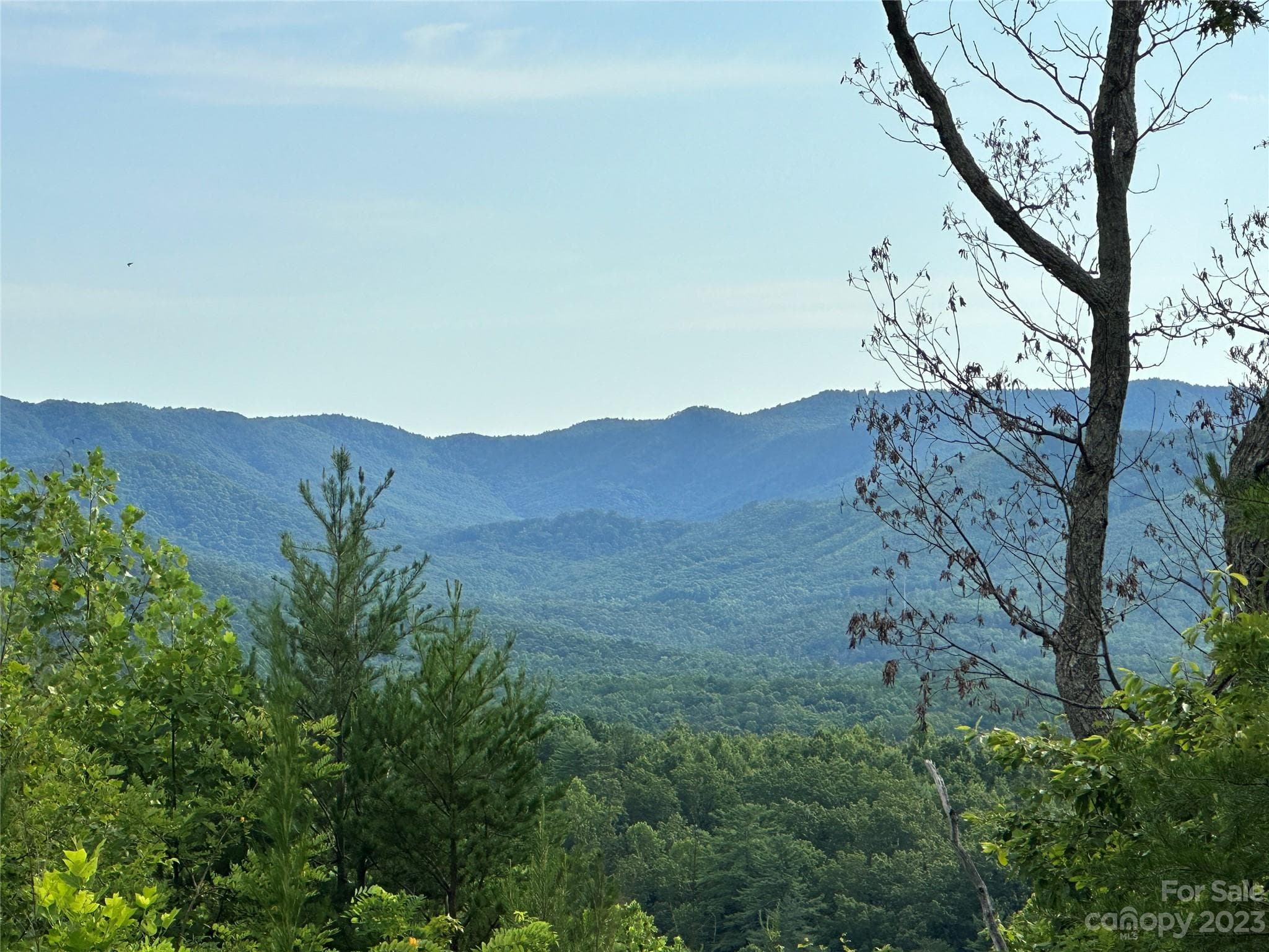 Lot at 643 Woodgate Drive, Bostic, photo 10 of 17