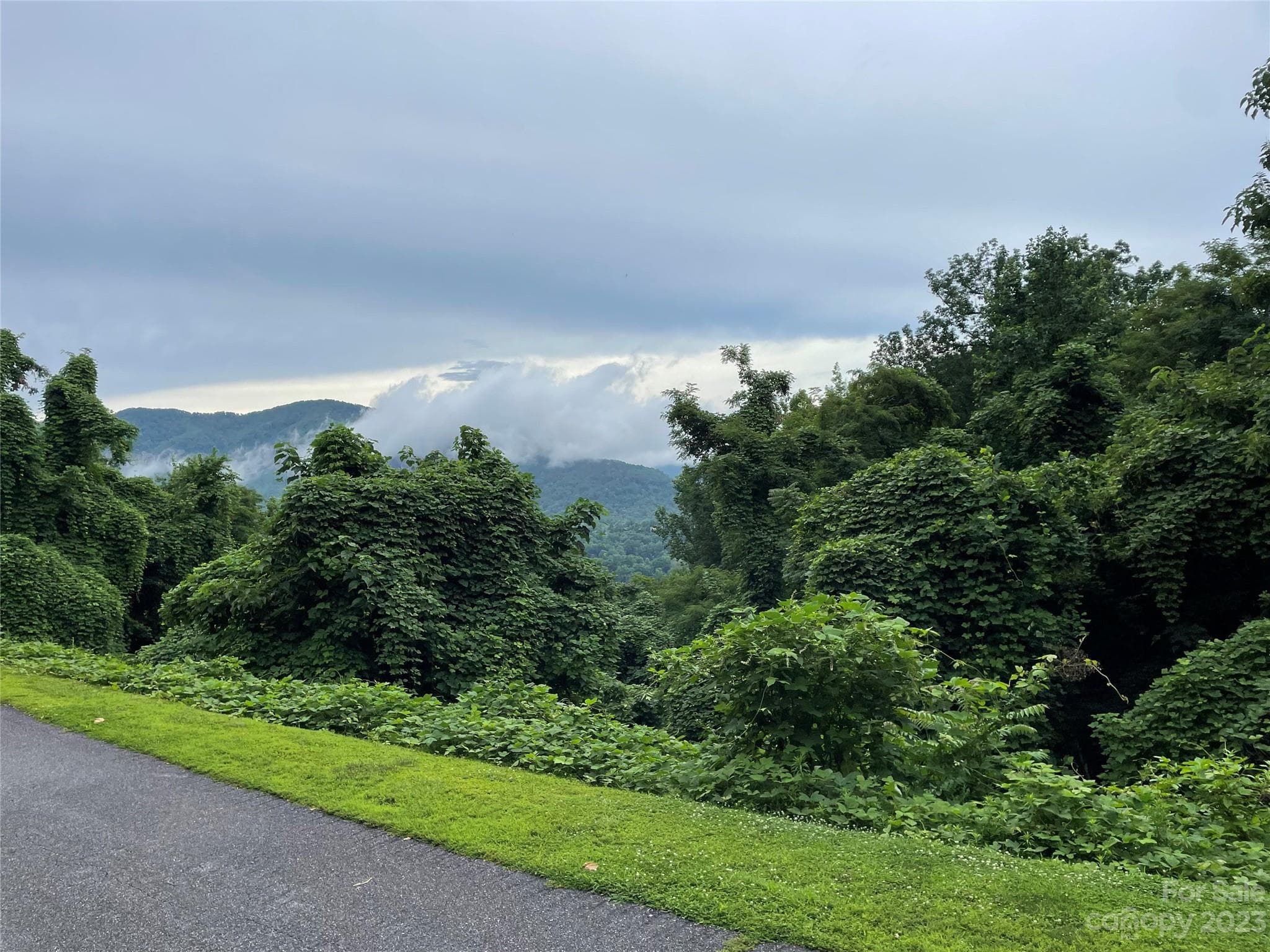 Lot at 0 Clear Creek Trail, Lake Lure, photo 3 of 6