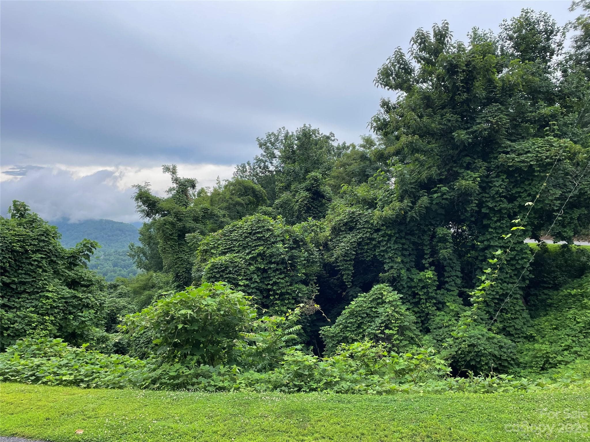 Lot at 0 Clear Creek Trail, Lake Lure, photo 4 of 6