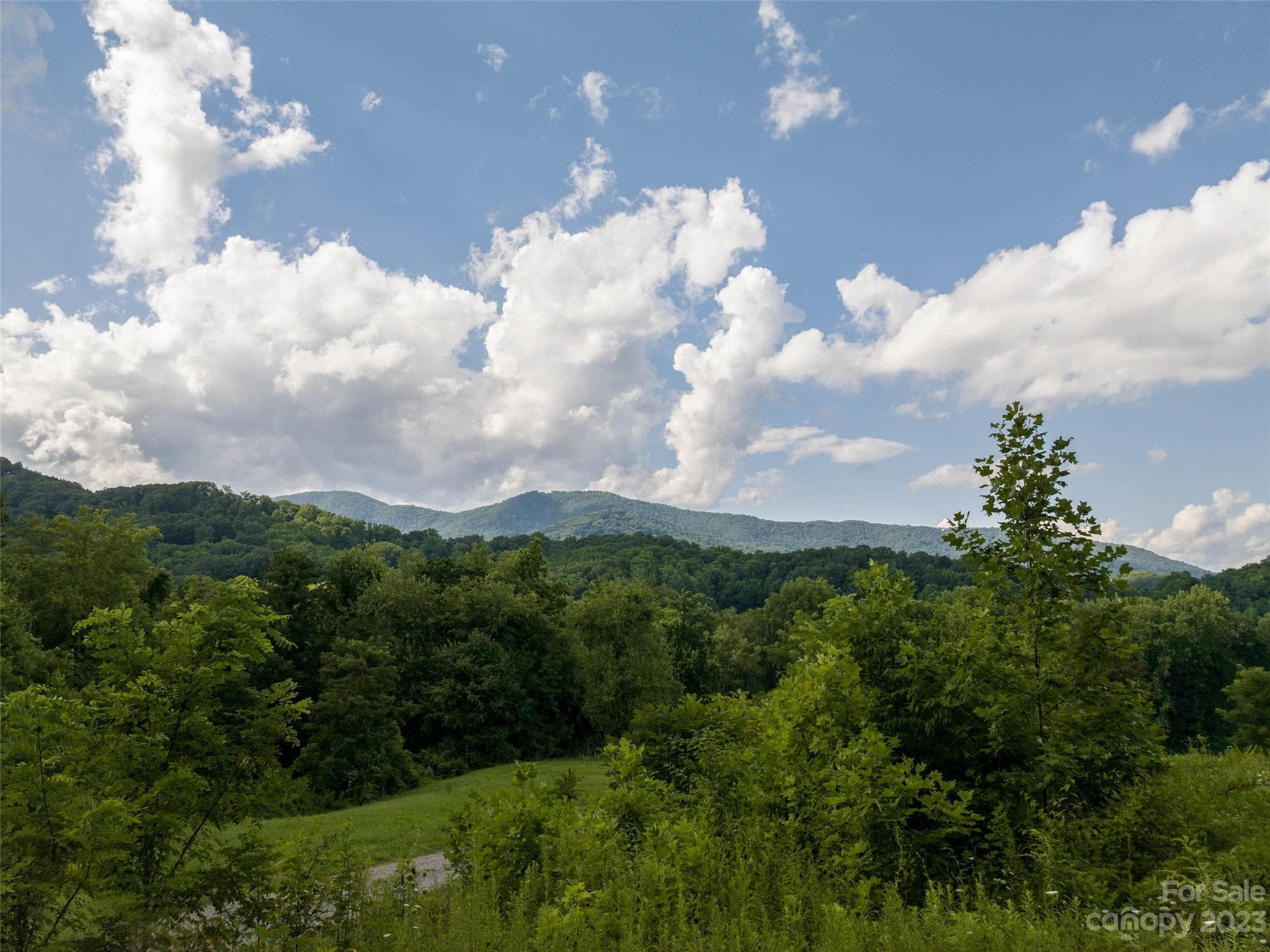Acreage at Waynesville, photo 2 of 22