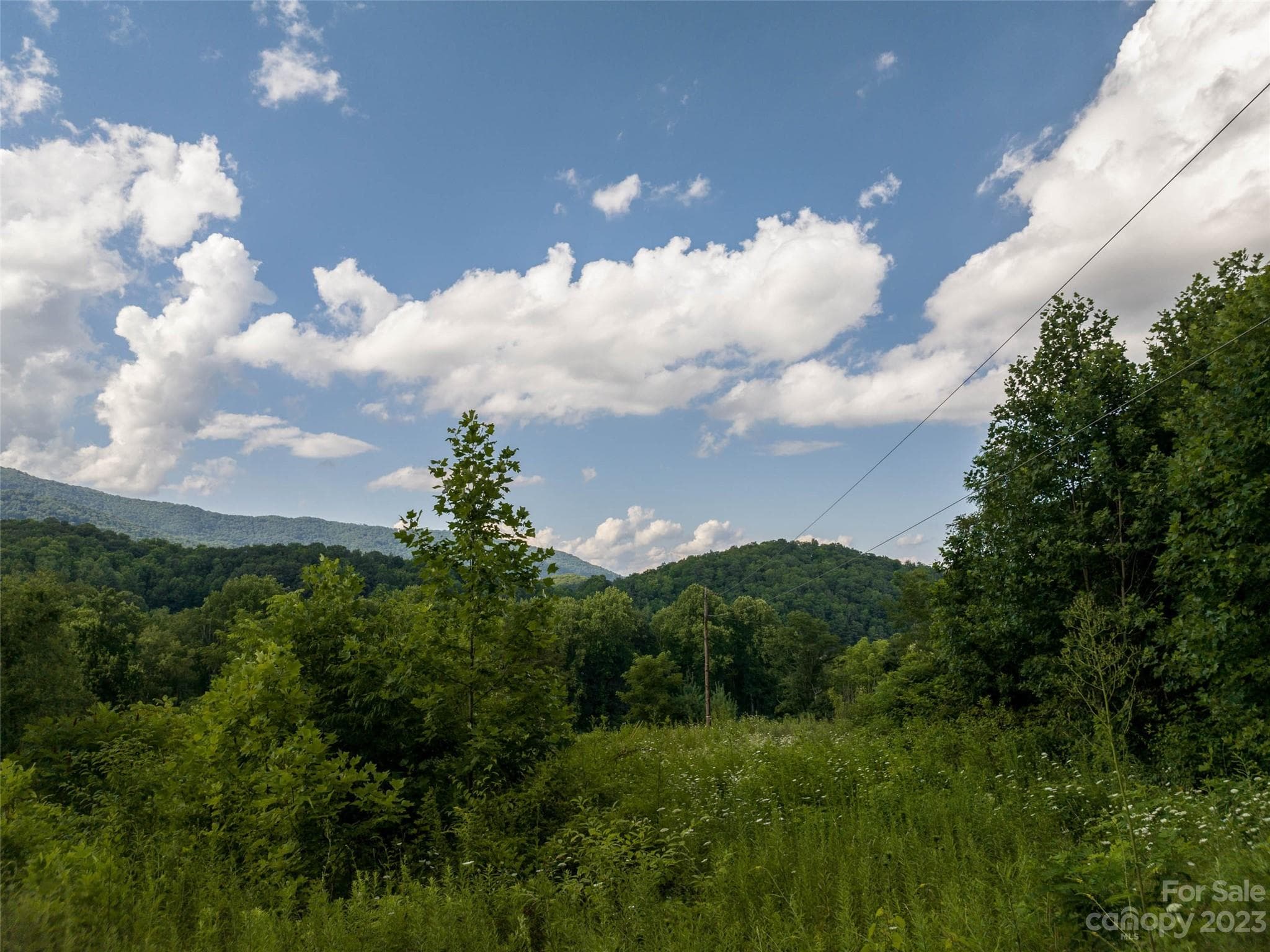 Acreage at Waynesville, photo 3 of 22